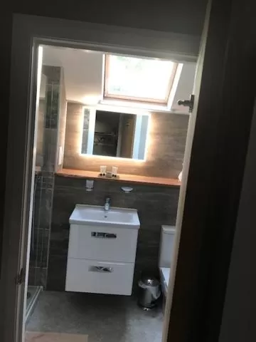 Bathroom in Bryn Goleu Bed & Breakfast