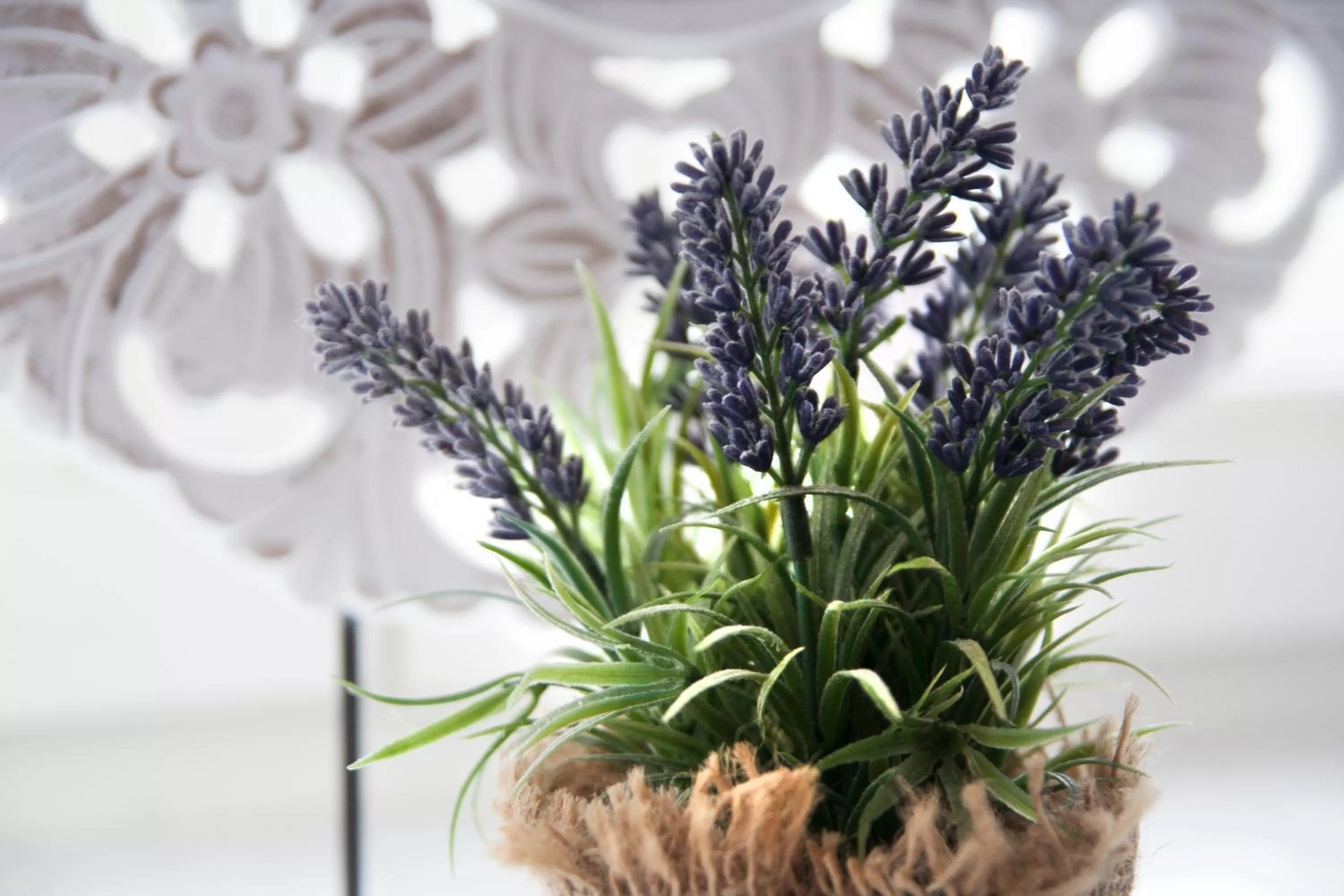 Decorative detail in Hotel De Klok