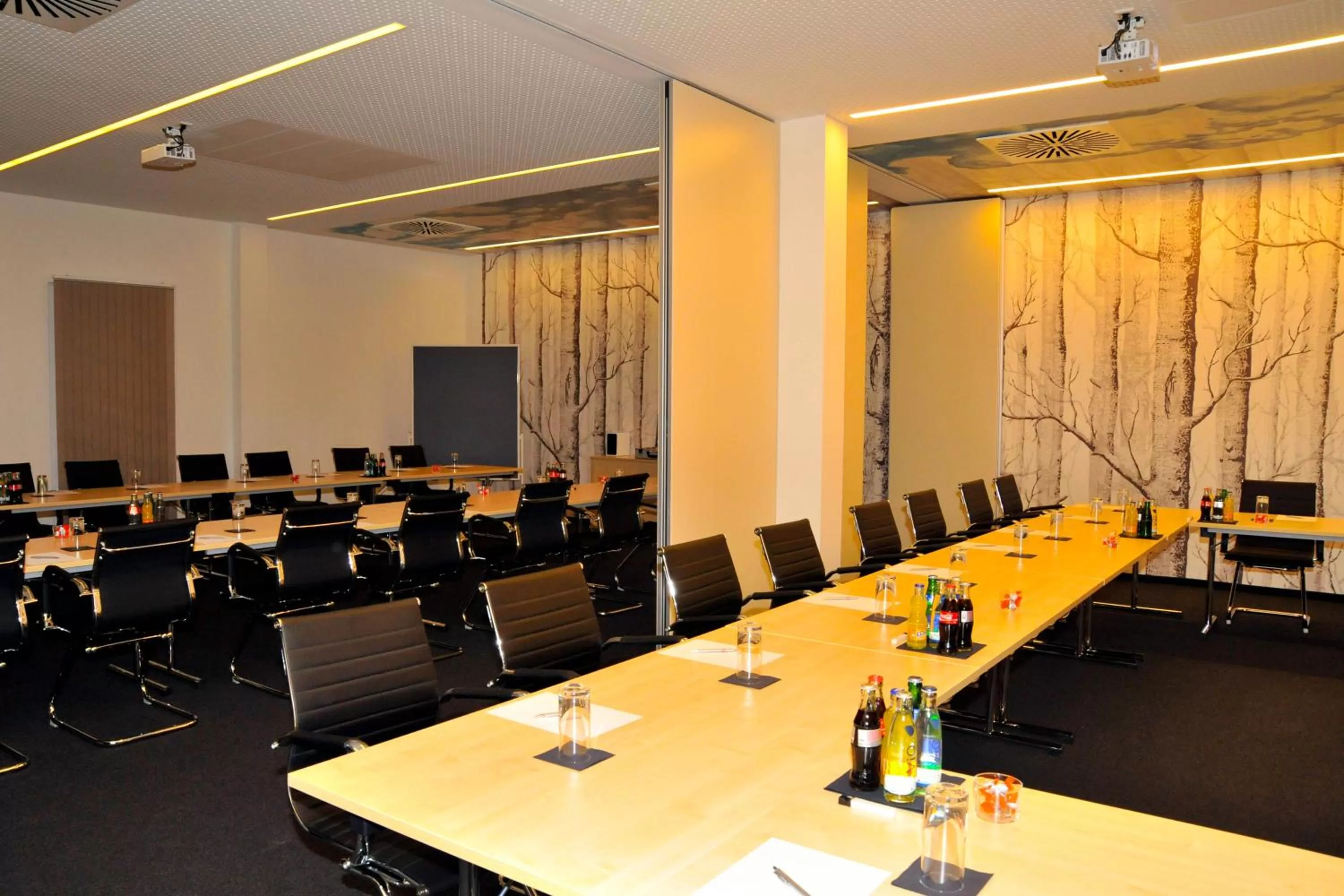 Meeting/conference room in Centrale Hotel und Restaurant