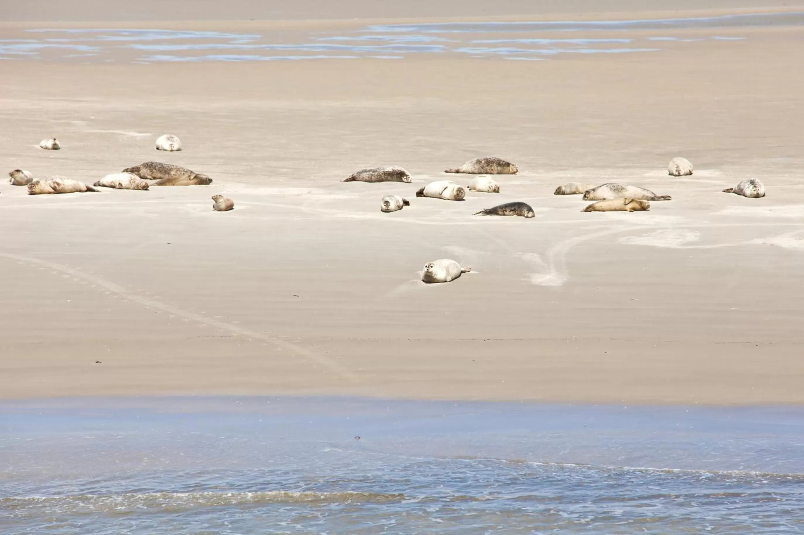 Natural landscape, Beach in Anker's Hörn