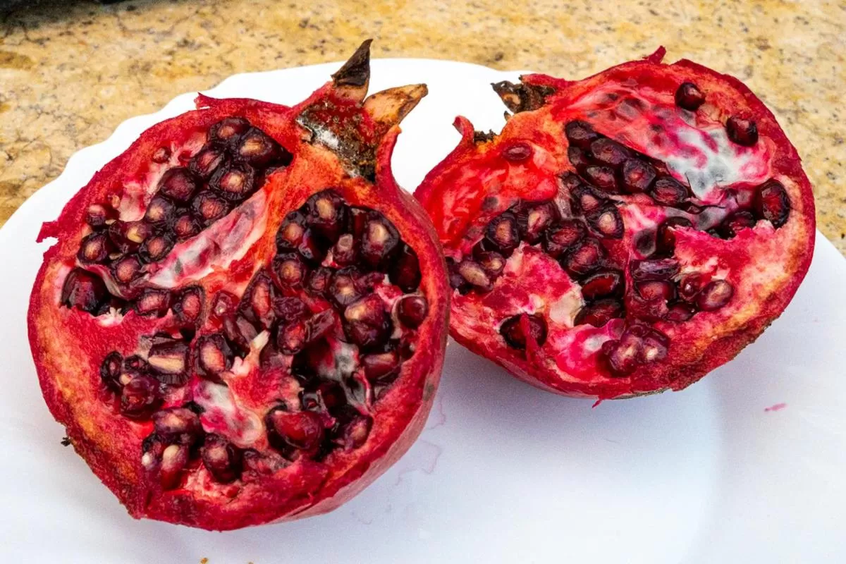 Comfort Stay Athens Airport Hotel - FREE shuttle from and to the airport