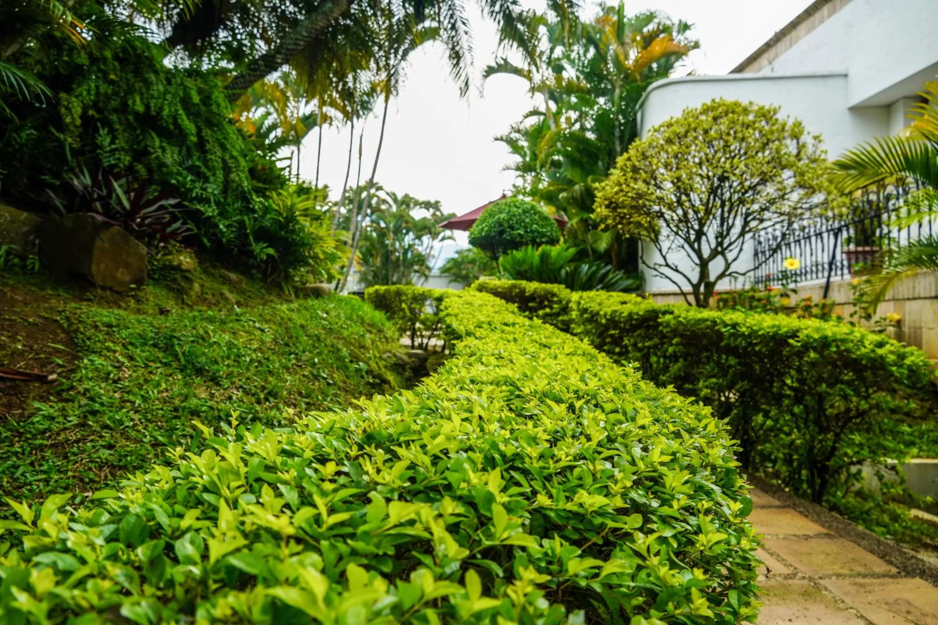 Garden in Hotel Boutique Villa Casuarinas