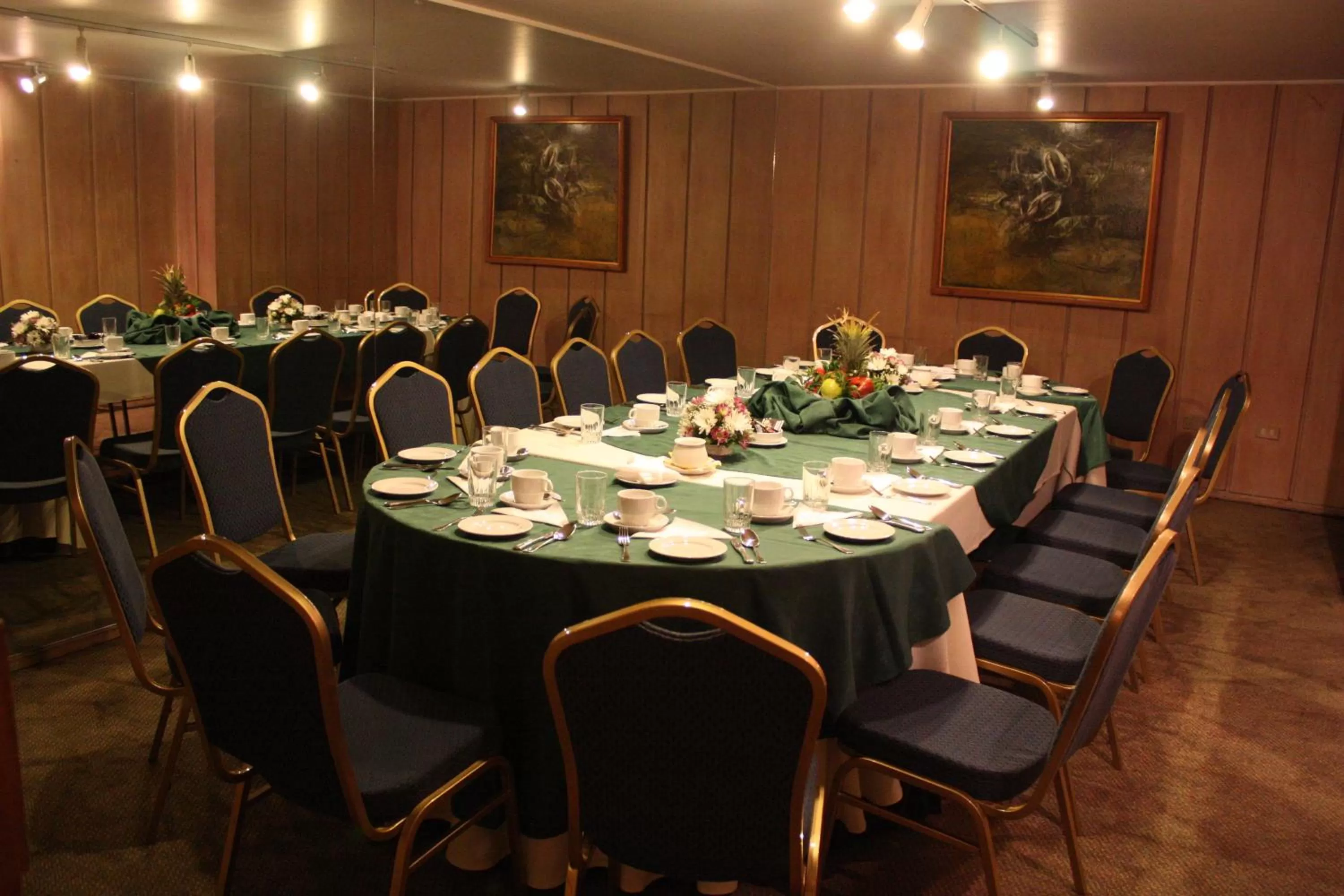 Banquet/Function facilities in Hotel El Araucano