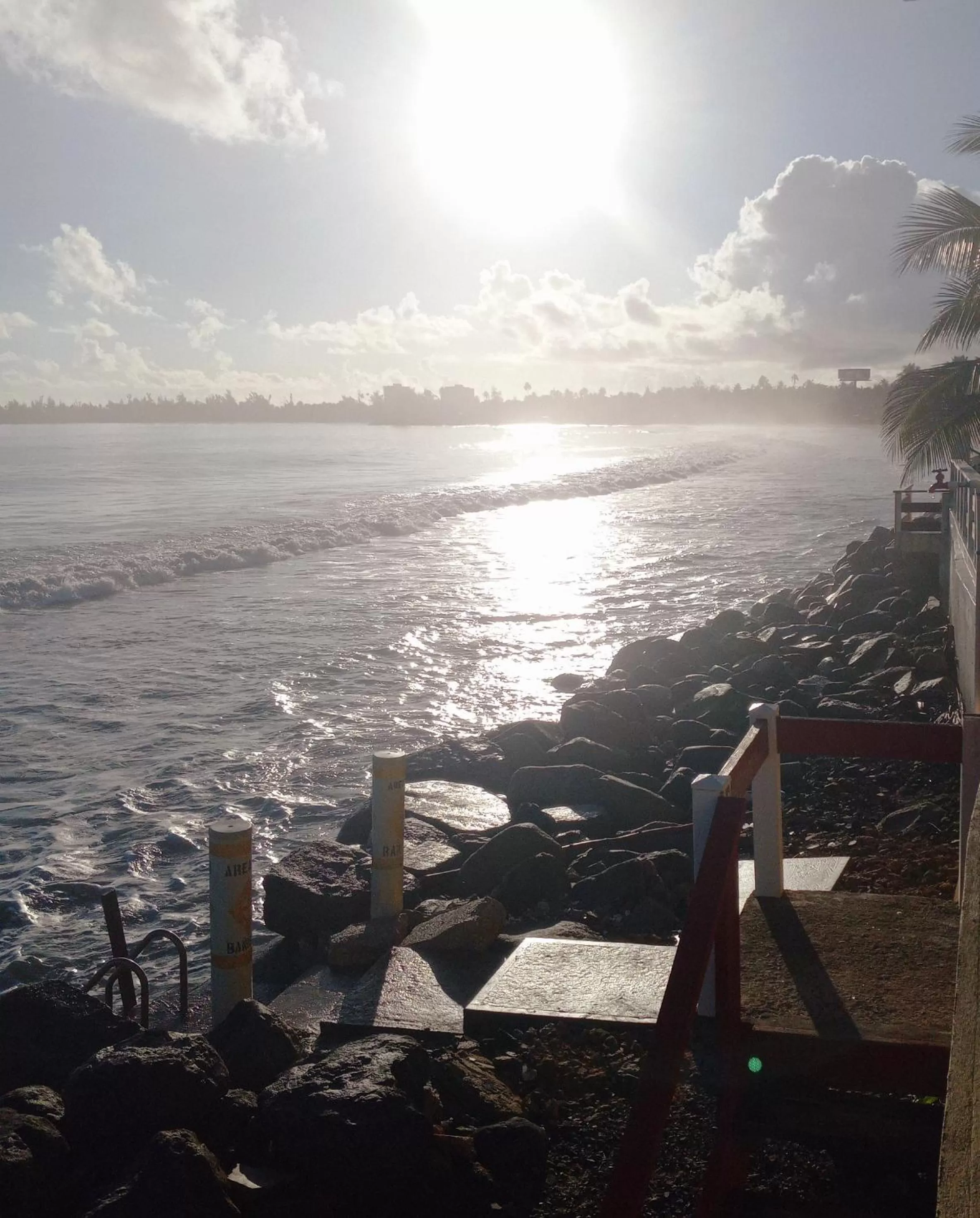 Natural landscape in Selva Boutique Hotel - Luquillo Oceanfront Retreat - Adults Only