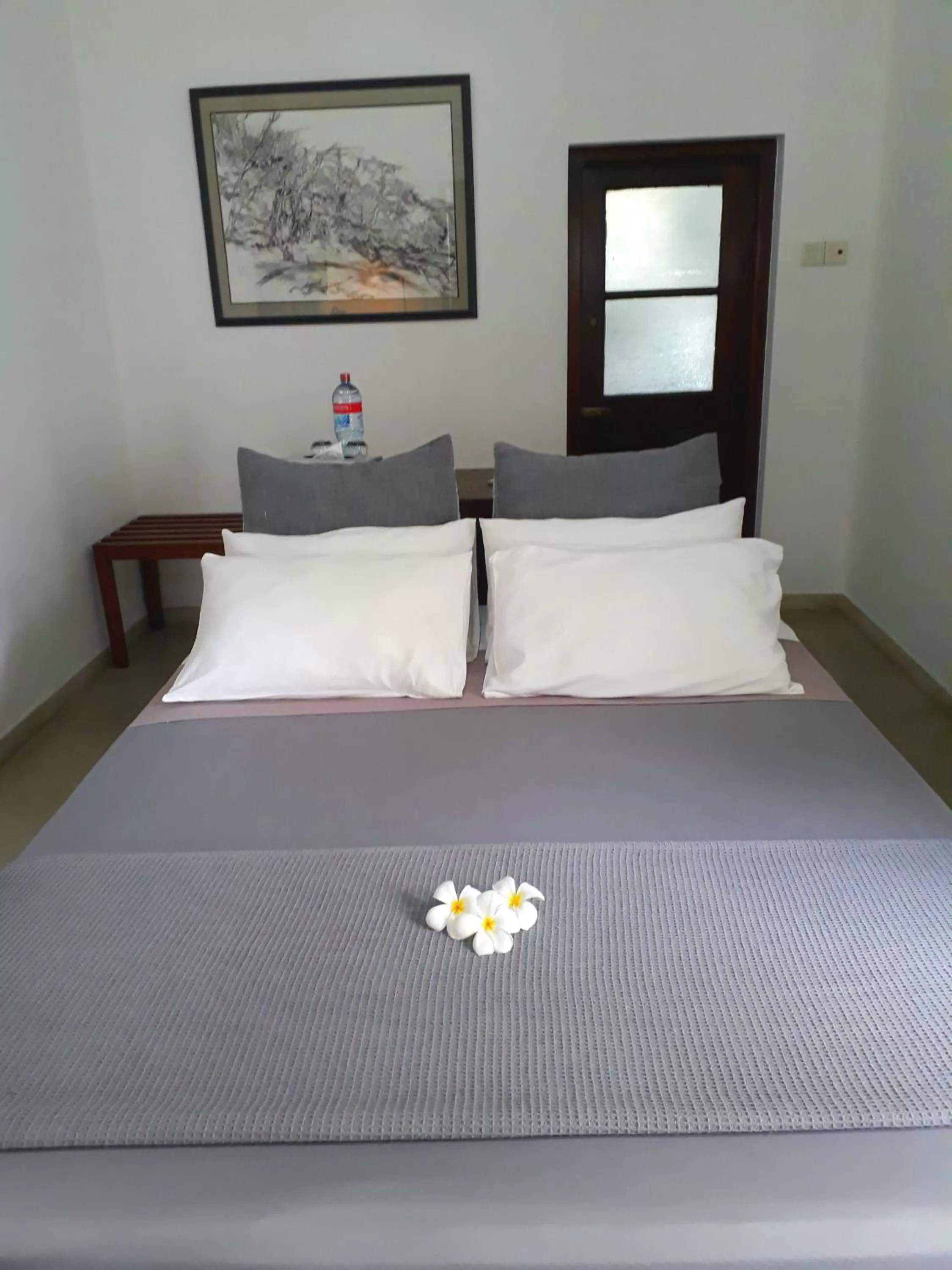 Bed in "27" Spathodea- Oasis in the City