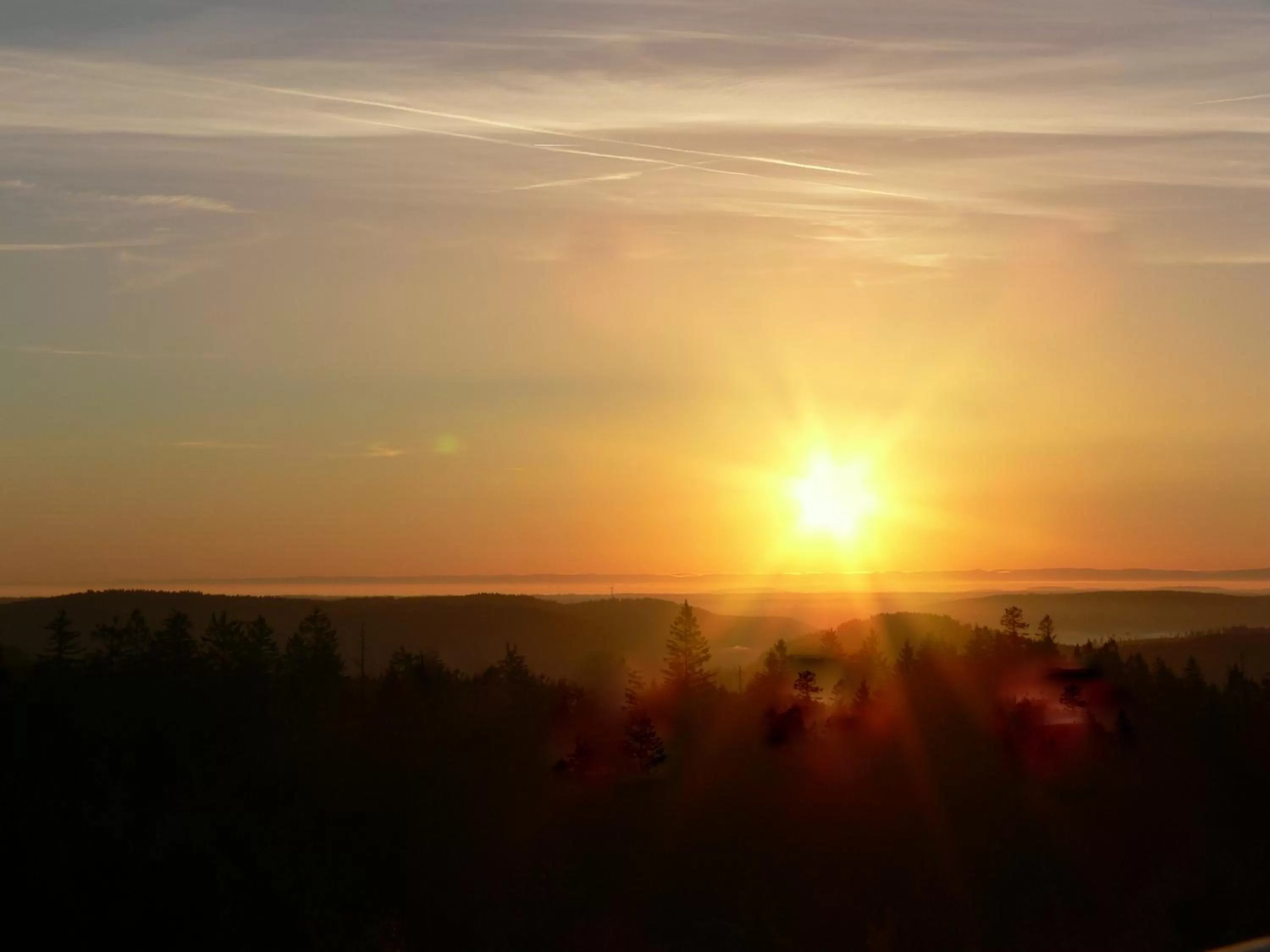 Natural landscape in Wellness-& Nationalpark Hotel Schliffkopf, BWSC