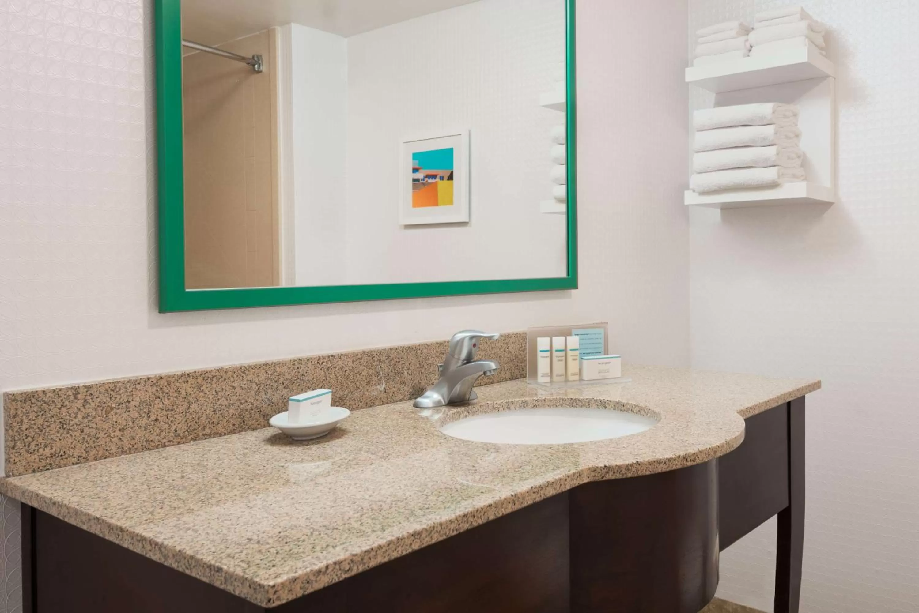 Bathroom in Hampton Inn Ellenton/Bradenton