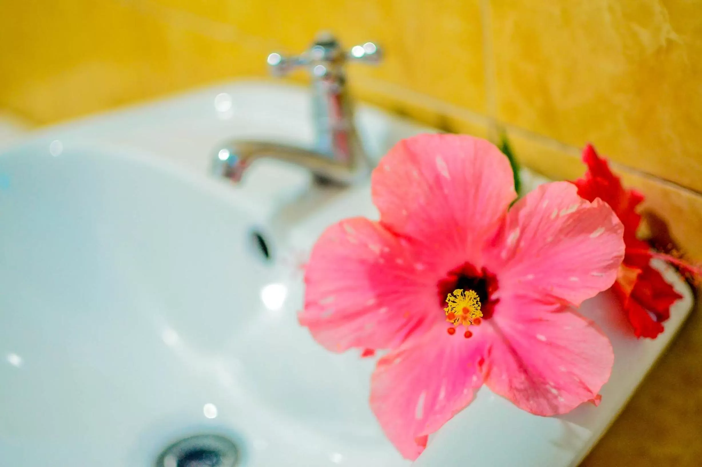 Camaya-an Paradise Beach Resort