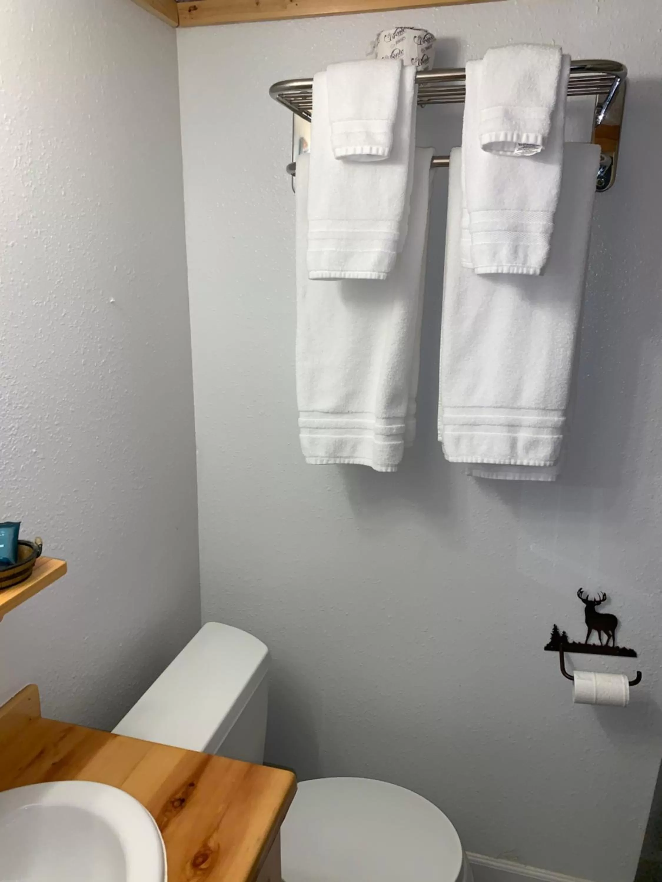 Bathroom in Glacier Haven Inn