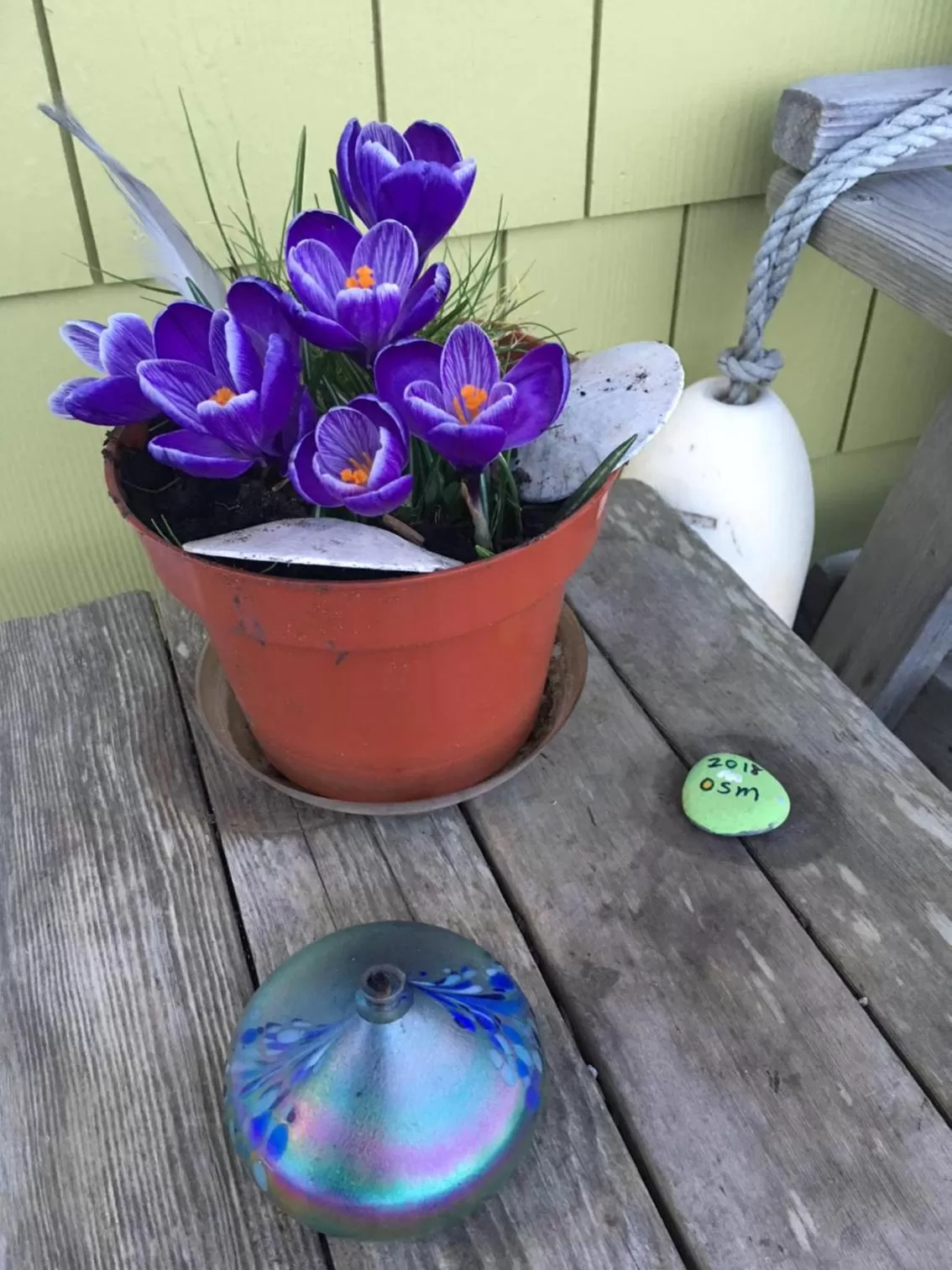 Property building in Ocean Shores Resort