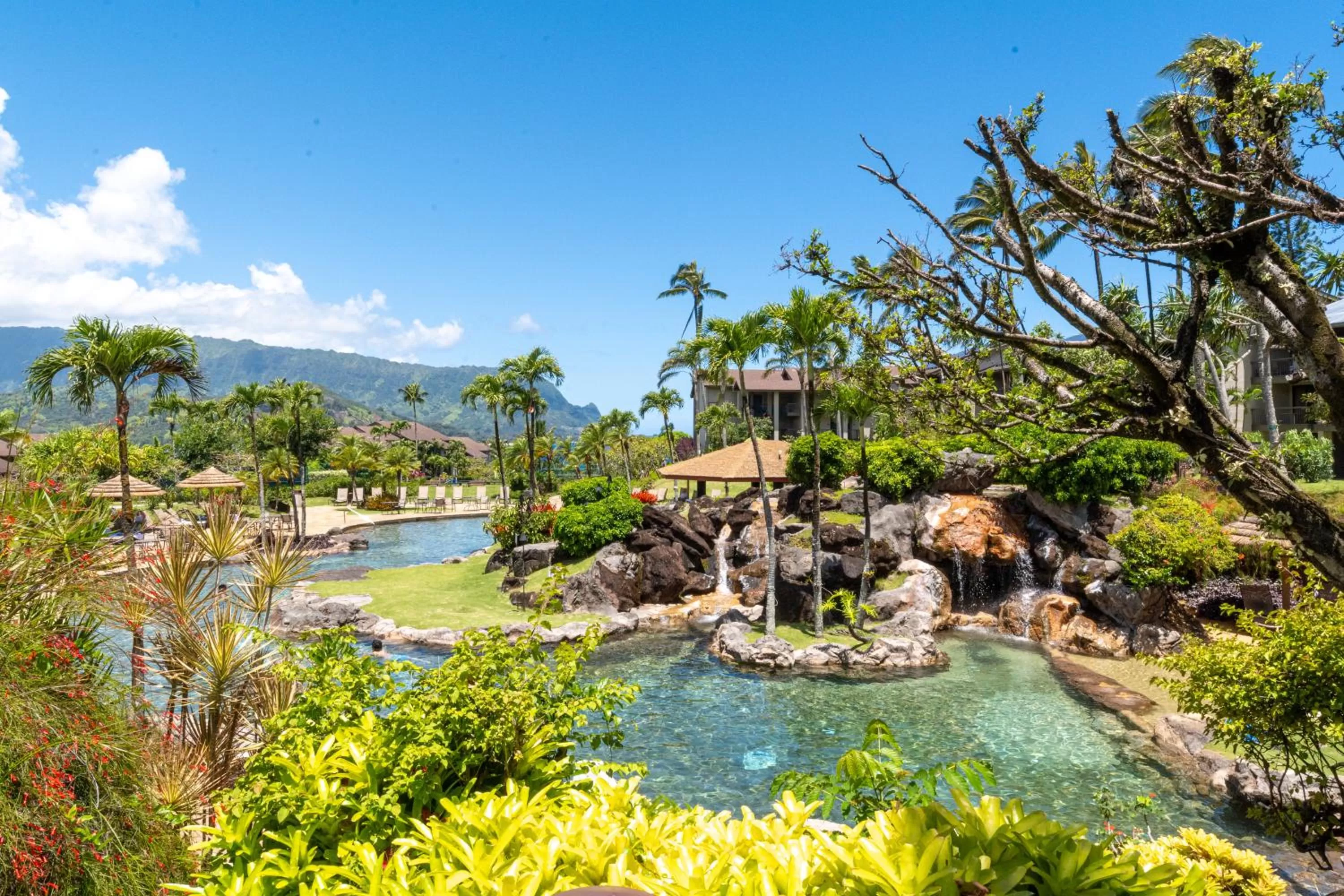 Swimming pool in Hanalei Bay Resort
