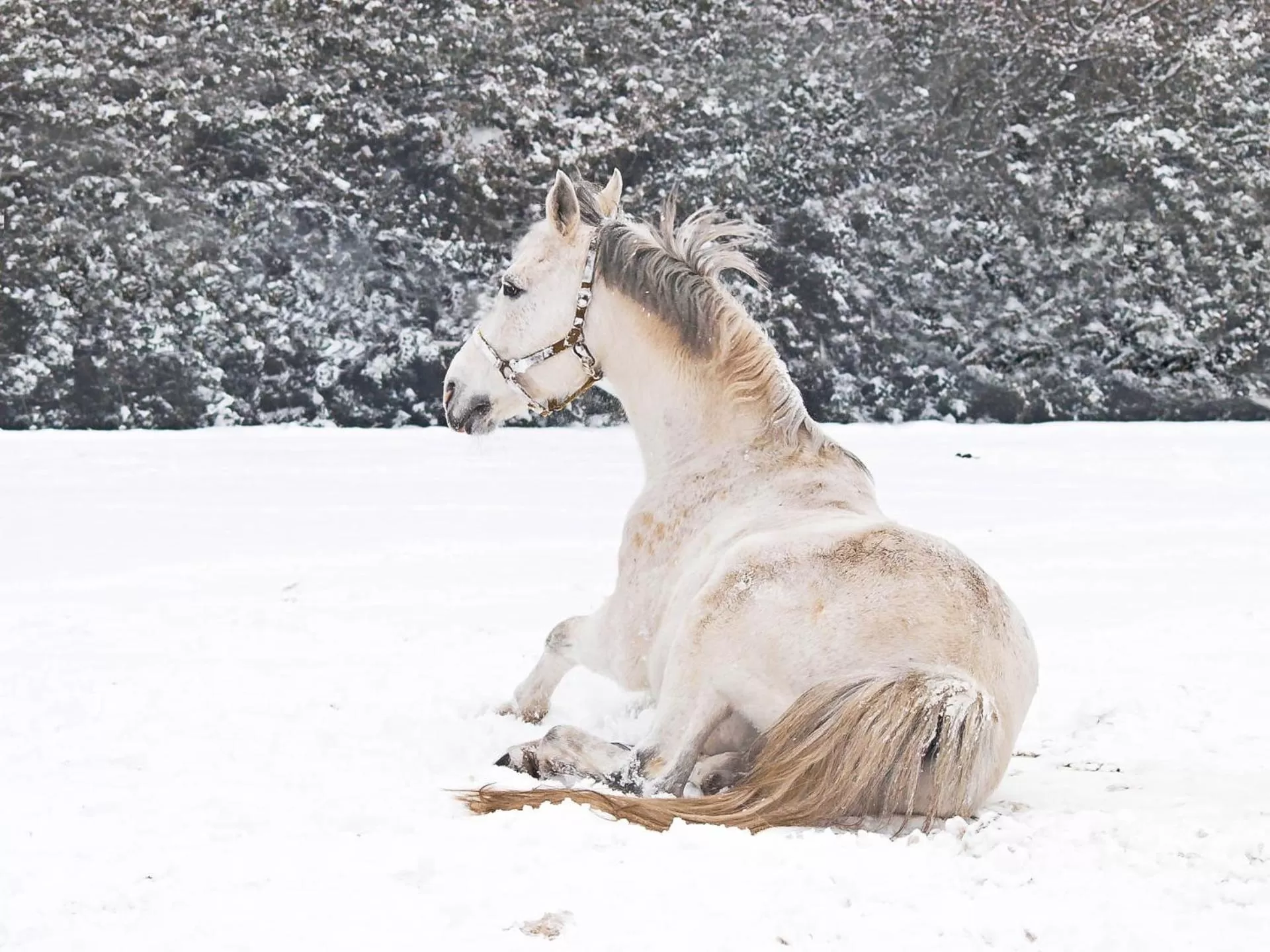 Nearby landmark in Pytloun Chateau Hotel Ctěnice