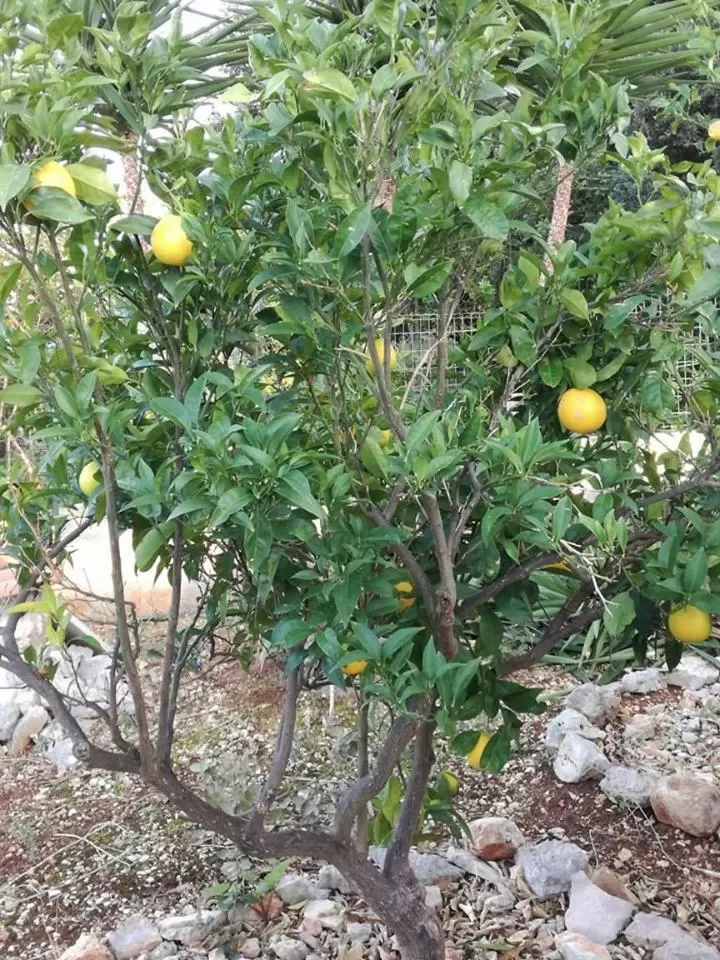 Le Dimore Del Sarto Polignano a mare