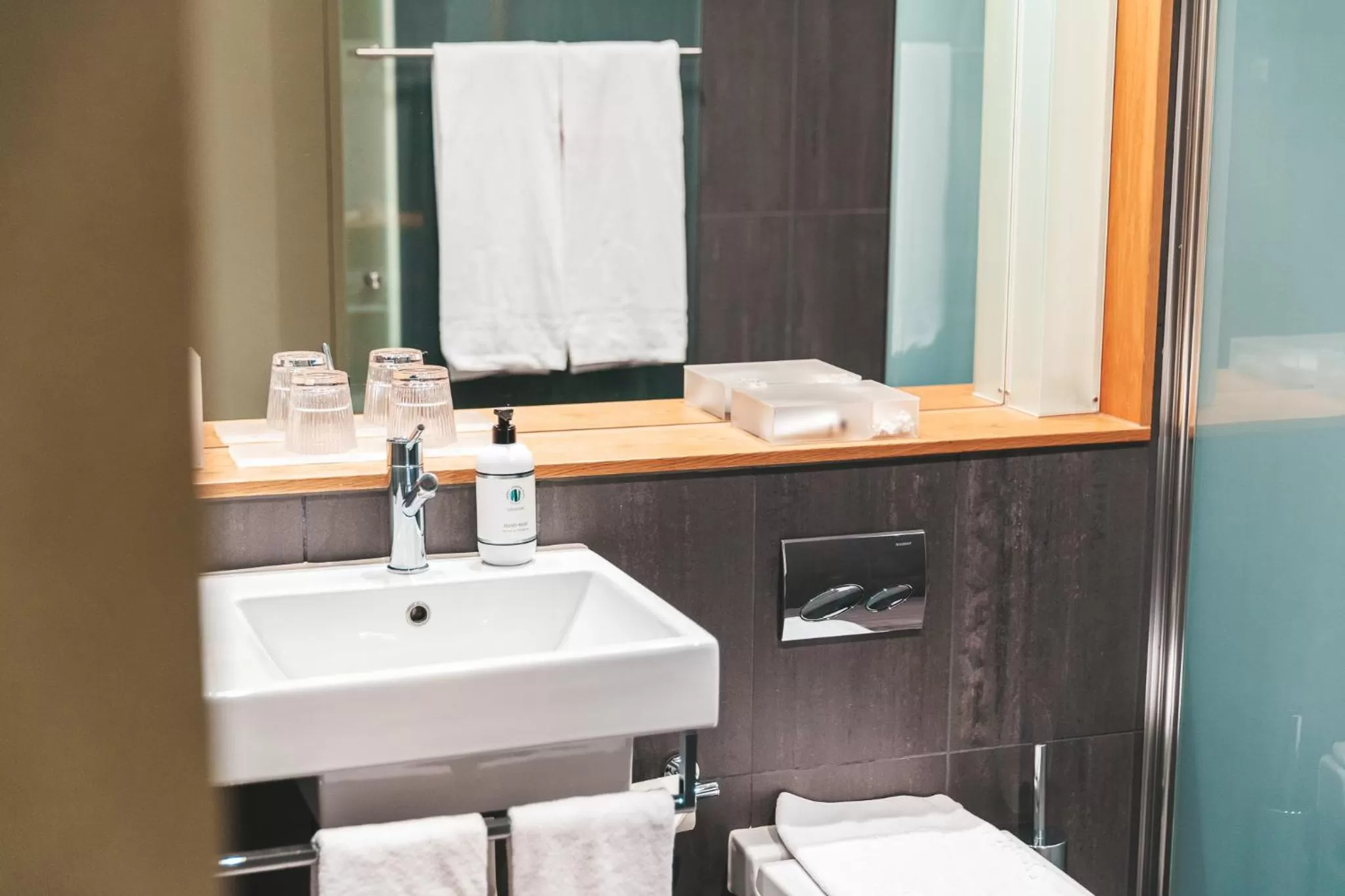 Bathroom in Sankt Jörgen Park