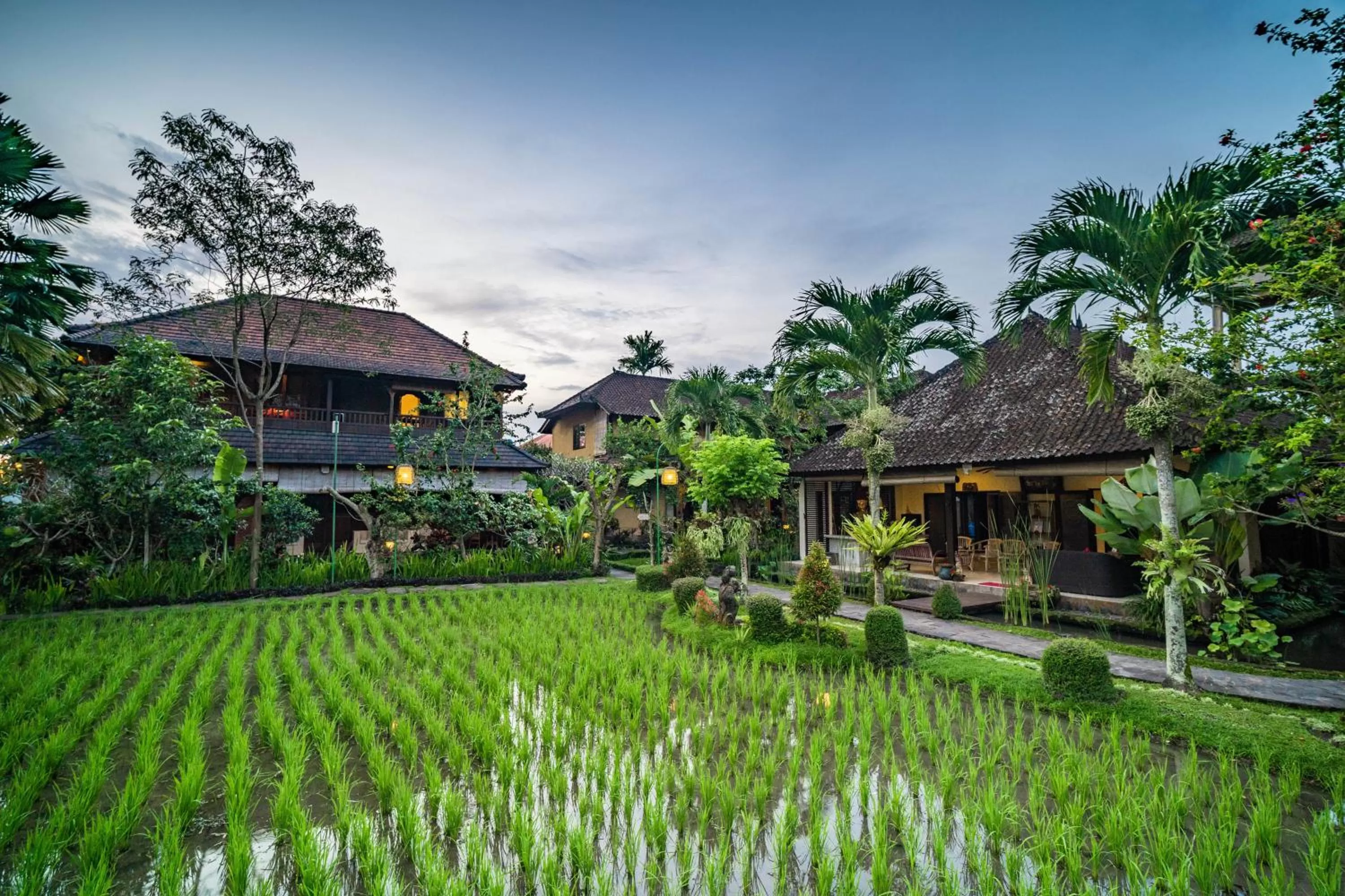 Garden view in Bliss Ubud Spa Resort