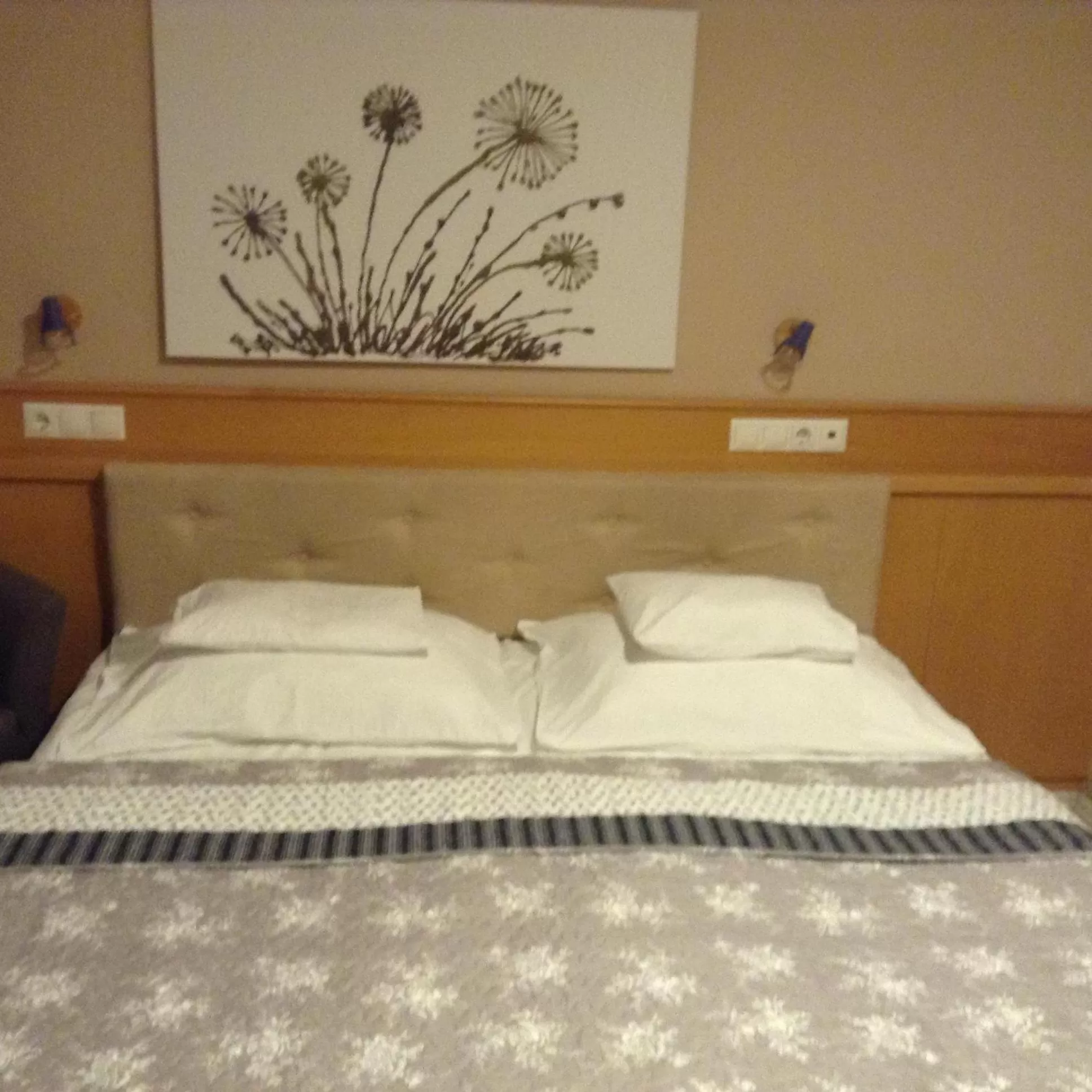 Photo of the whole room, Bed in Hotel Zsida
