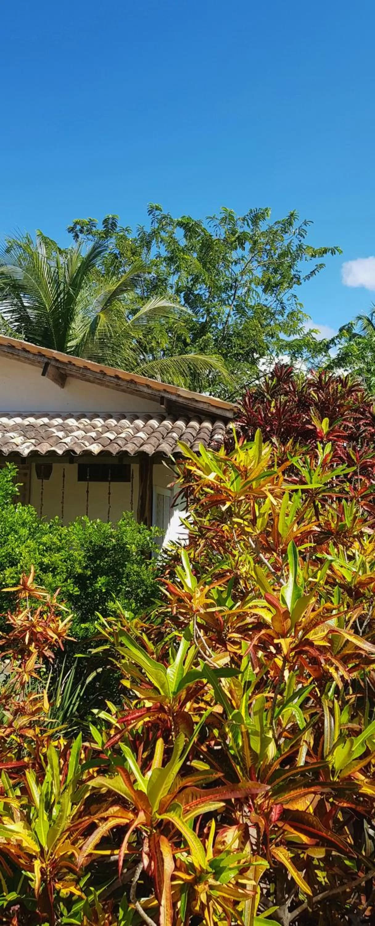 Garden, Property Building in Pousada Villages Boutique Hotel