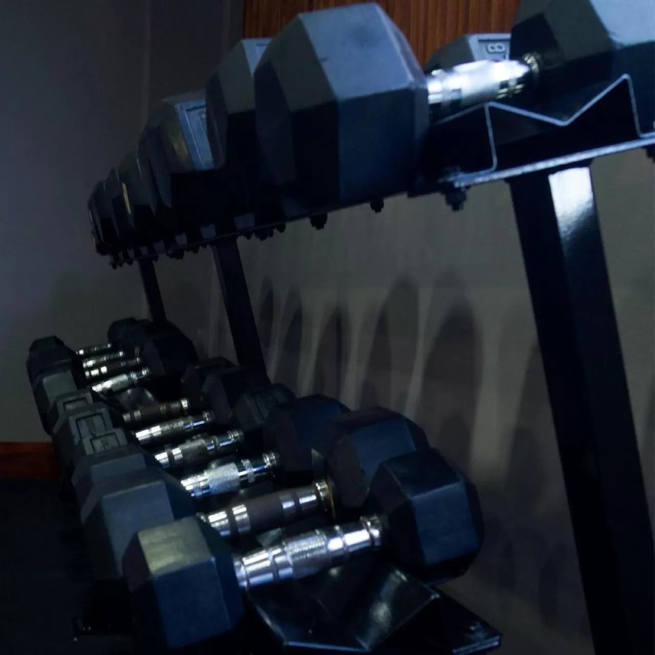 Fitness centre/facilities in Hotel Palma Real