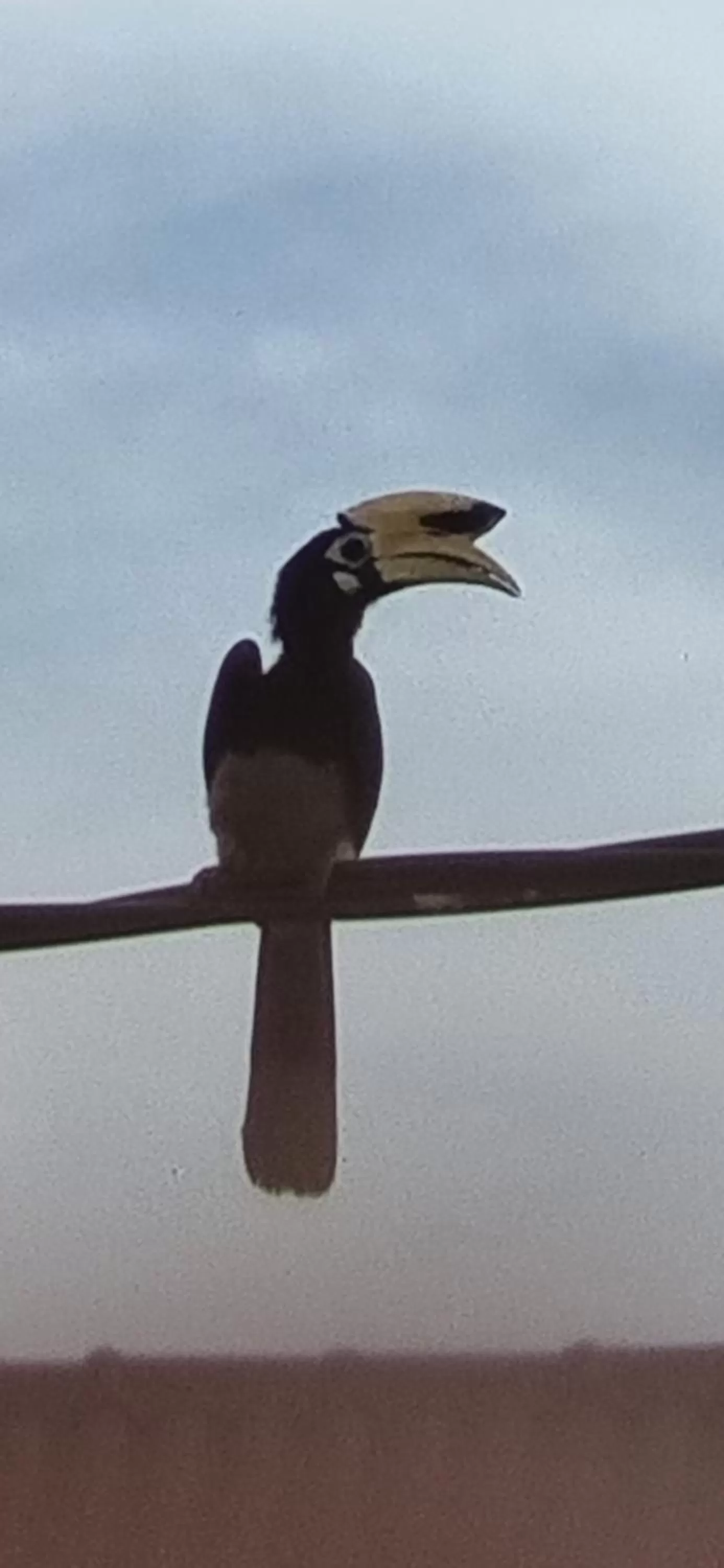 Seven Stones Langkawi