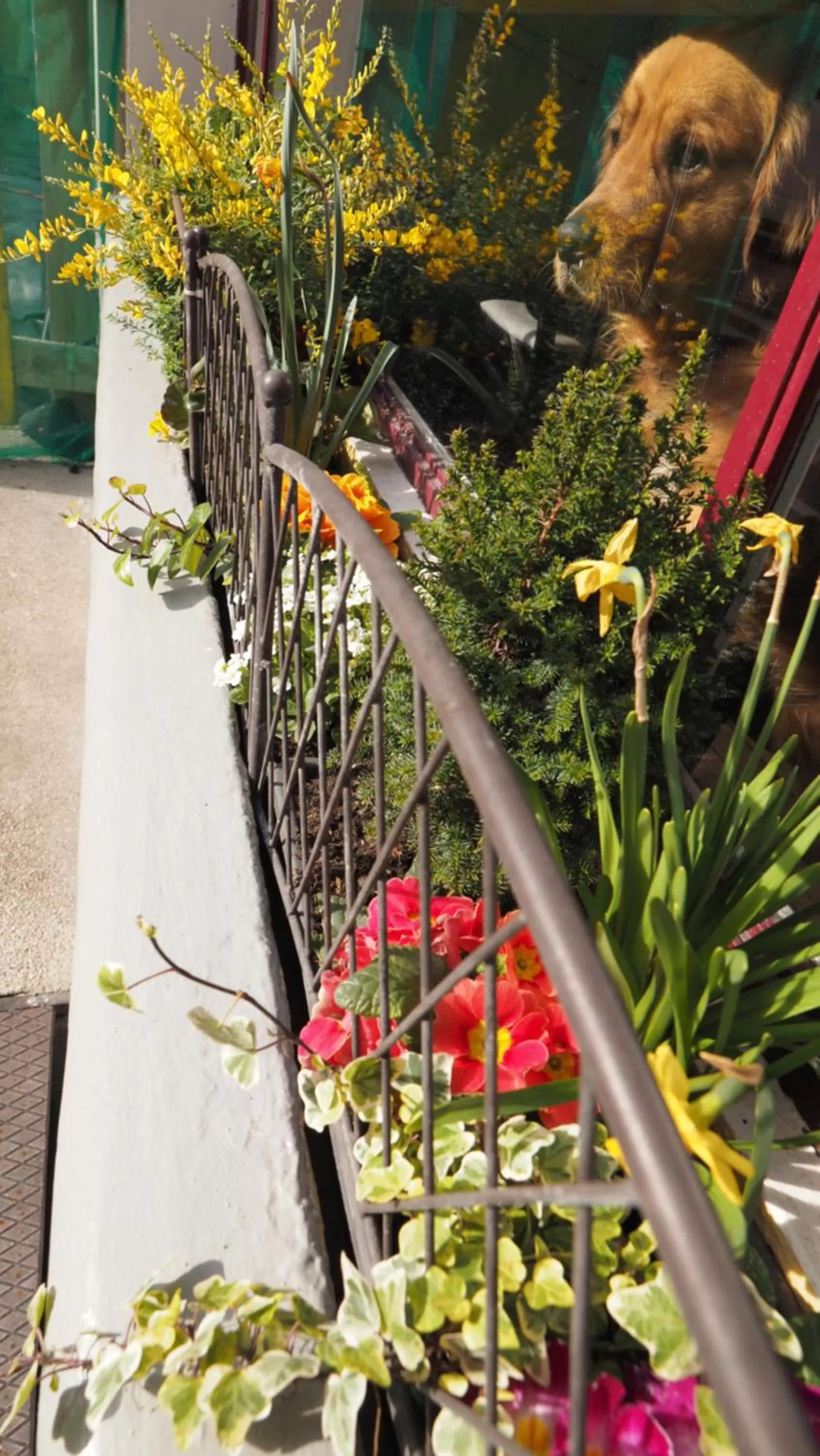 Property building in Hôtel Le Biarritz - Vichy