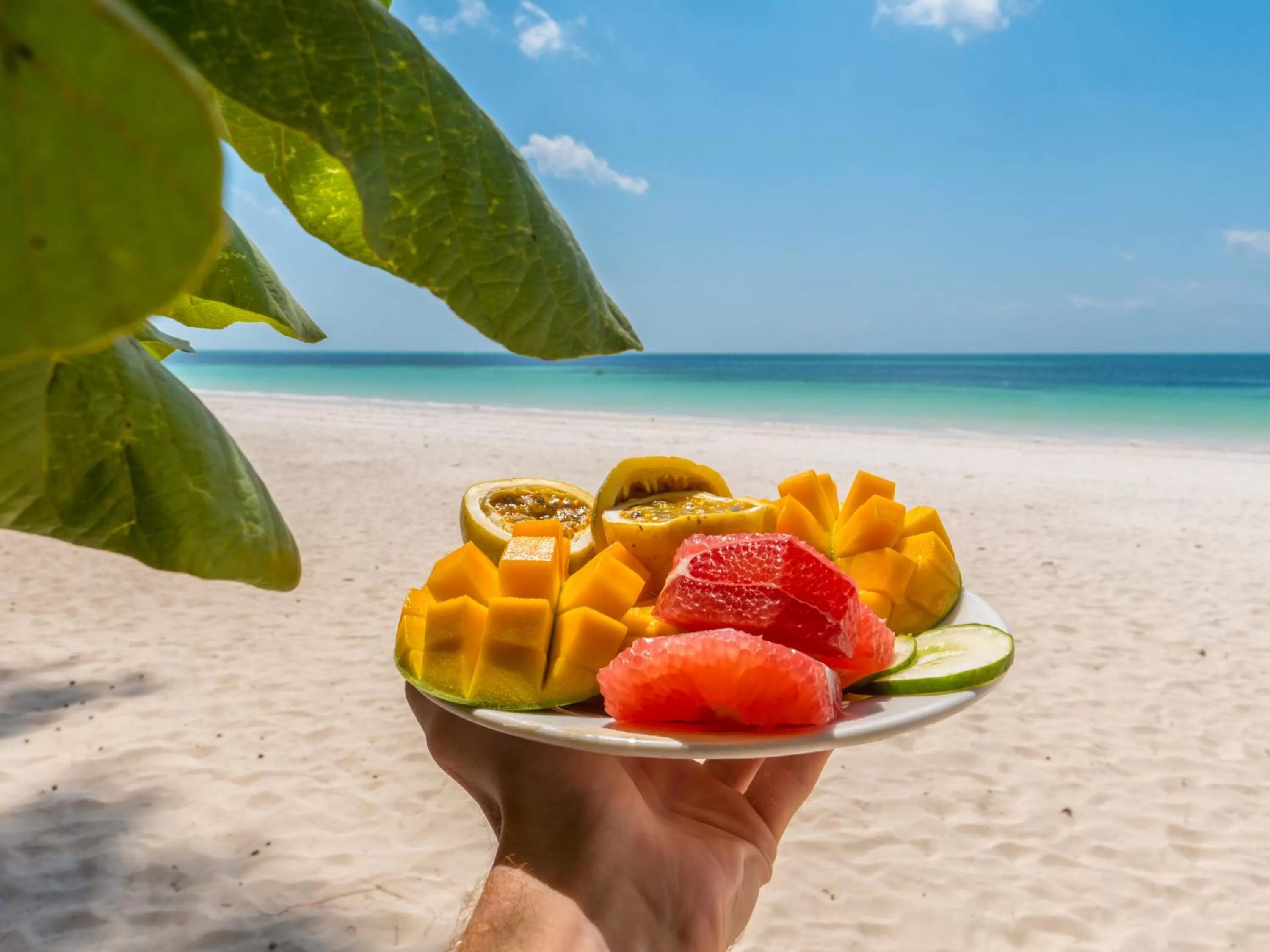 Beach in Kiwengwa Beach Resort