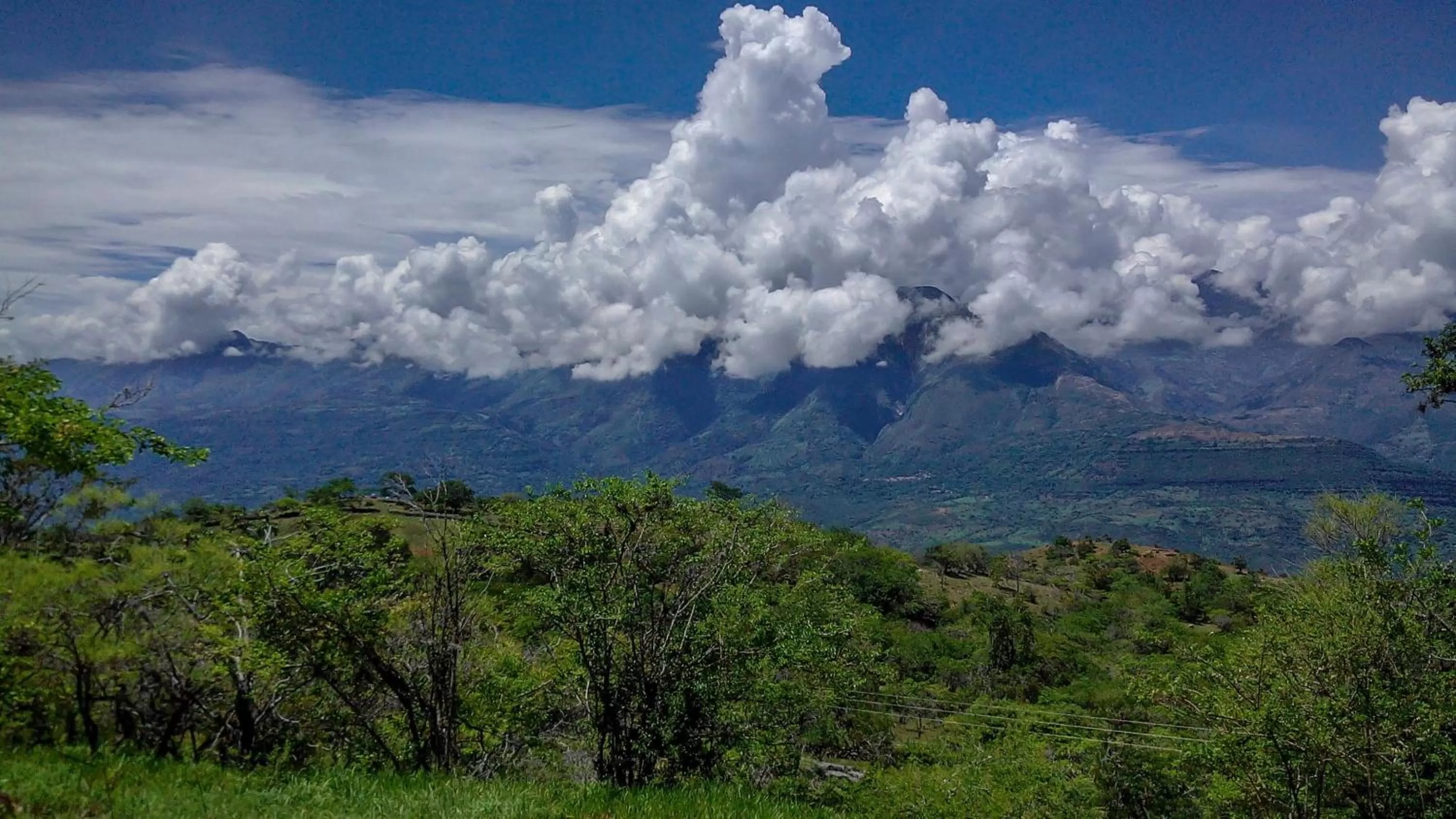 Garden in Posada Finca San Vicente B&B
