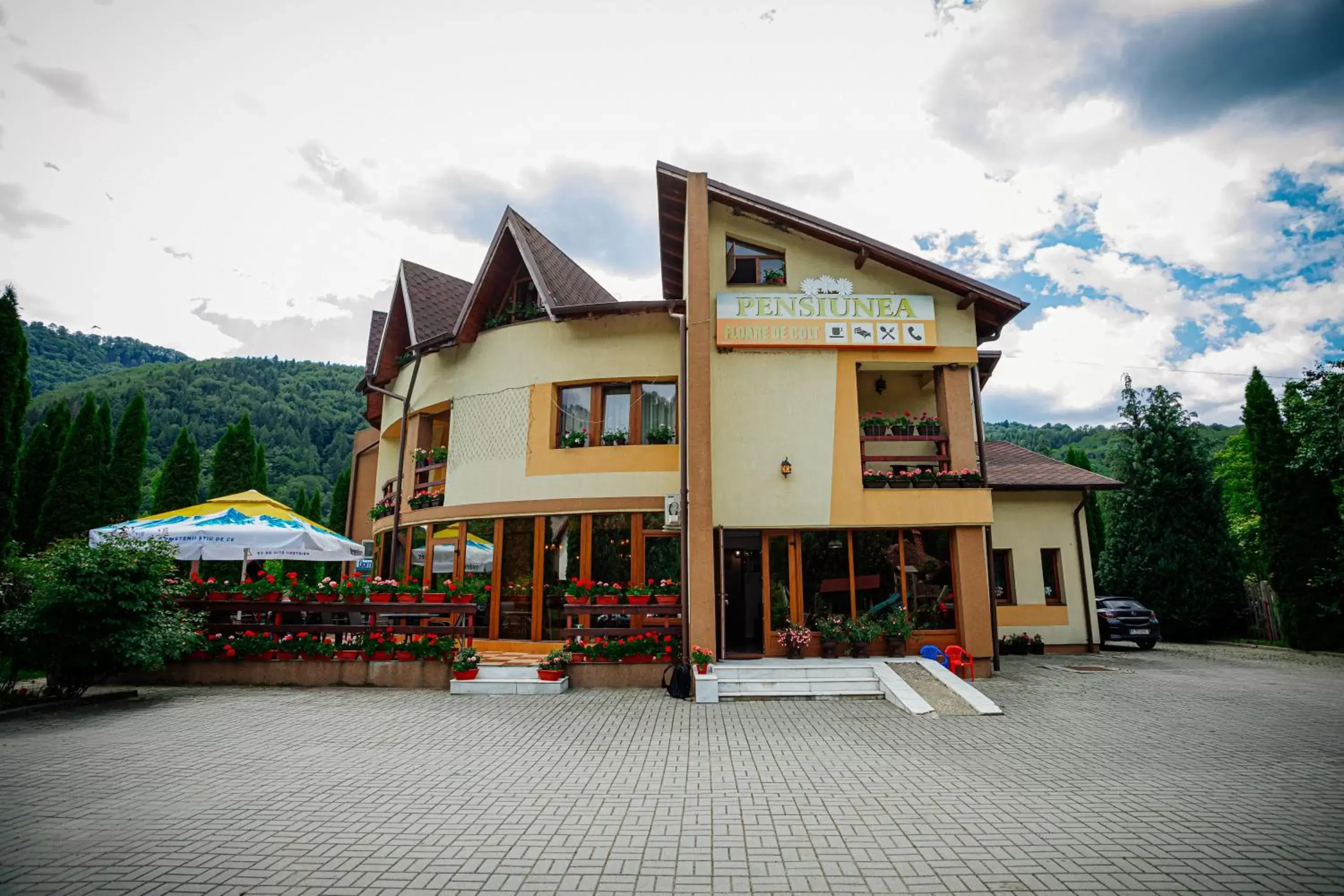 Pensiunea Floare de Colţ Pensiunea Floare de Colţ