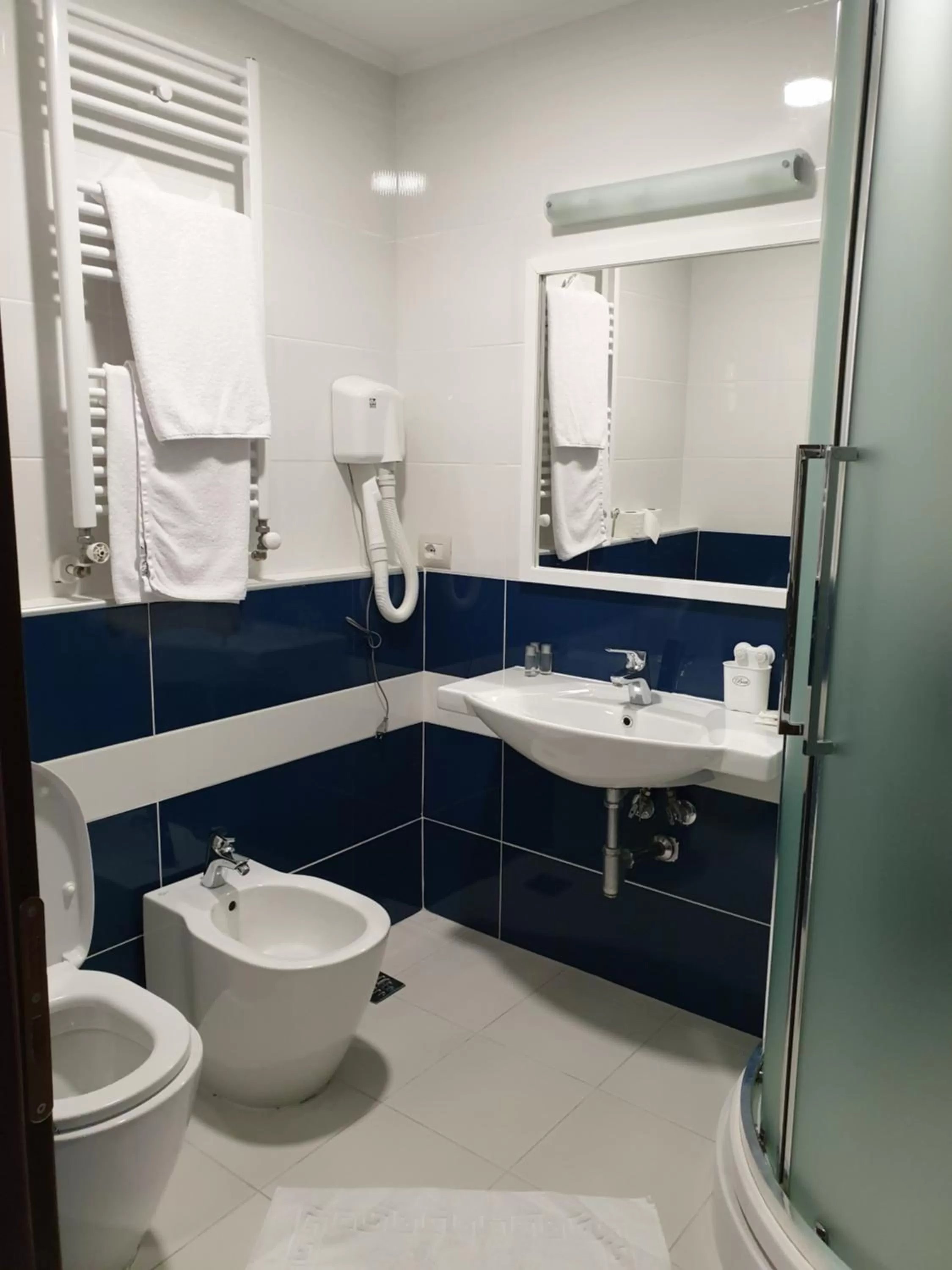 Shower in Hotel Millennium