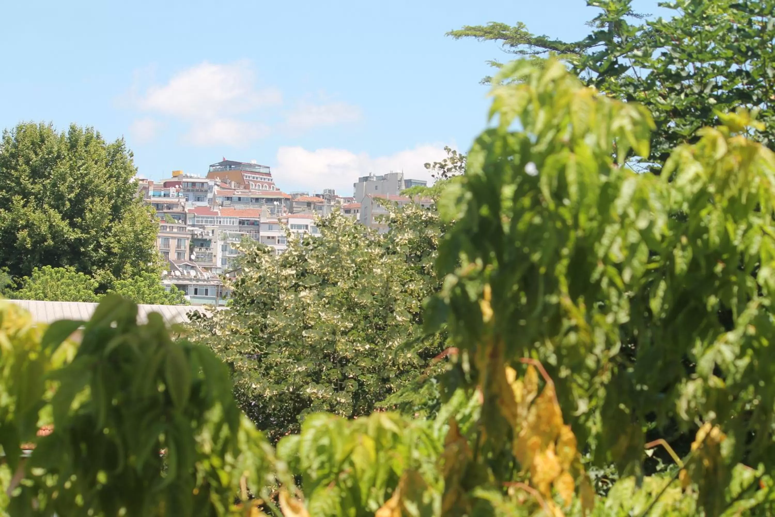 City view in Arat Apartments