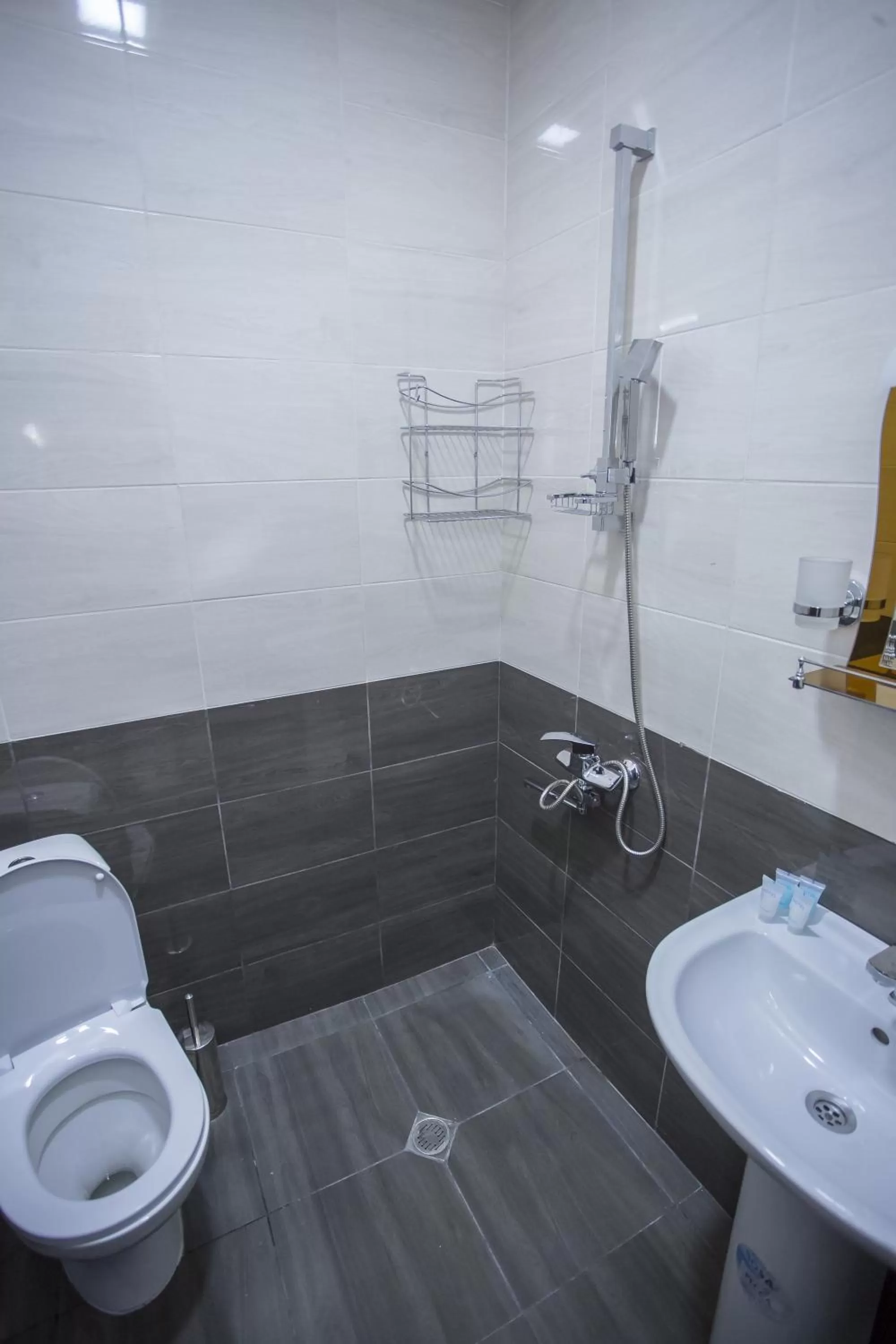 Bathroom in Hotel Garanti