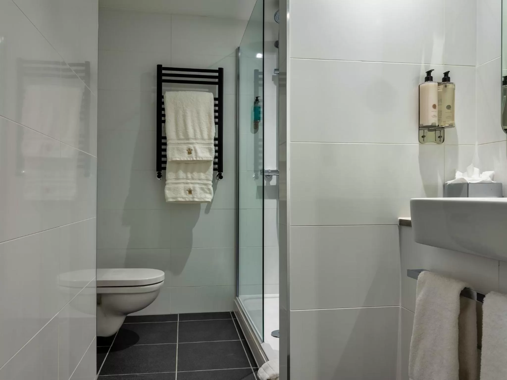 Shower in The Feathers Hotel