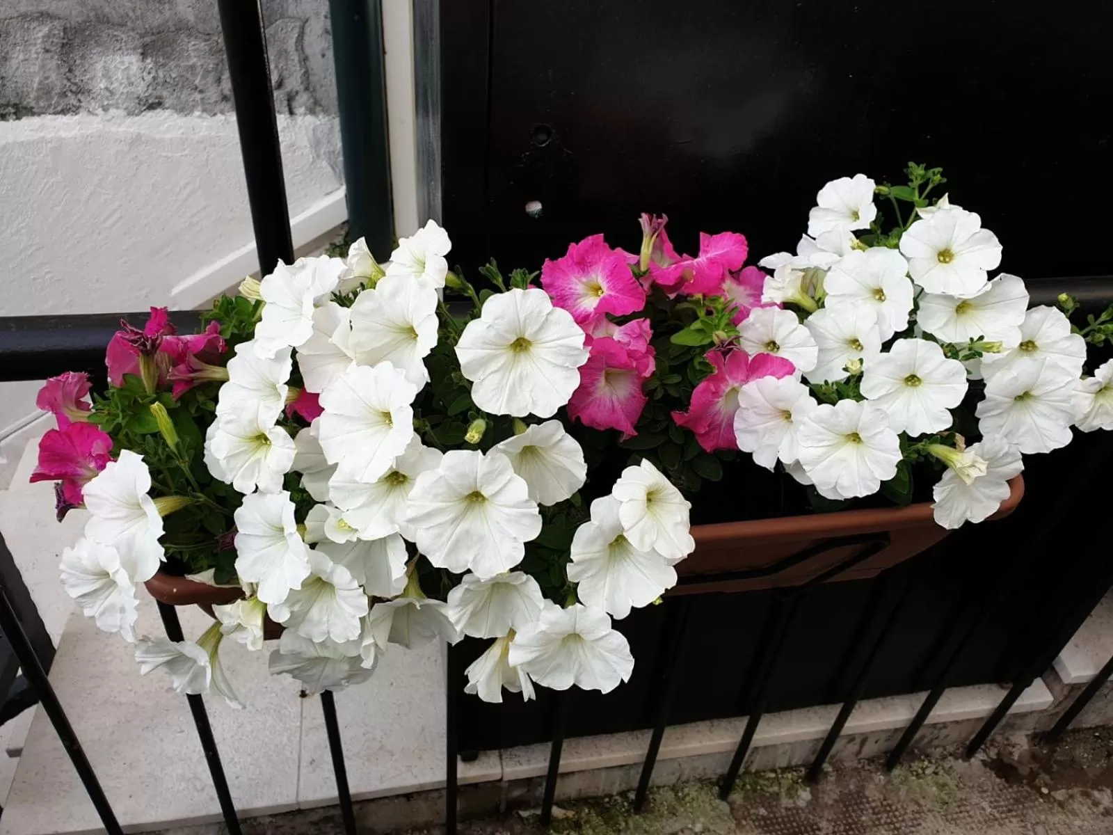 Balcony/Terrace in Golden B&B