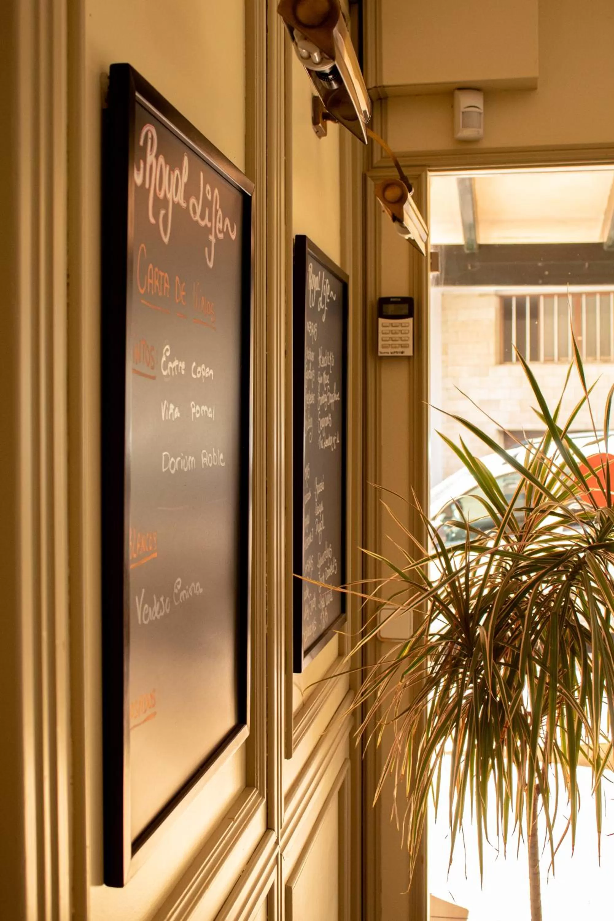 Apartamentos Royal Life