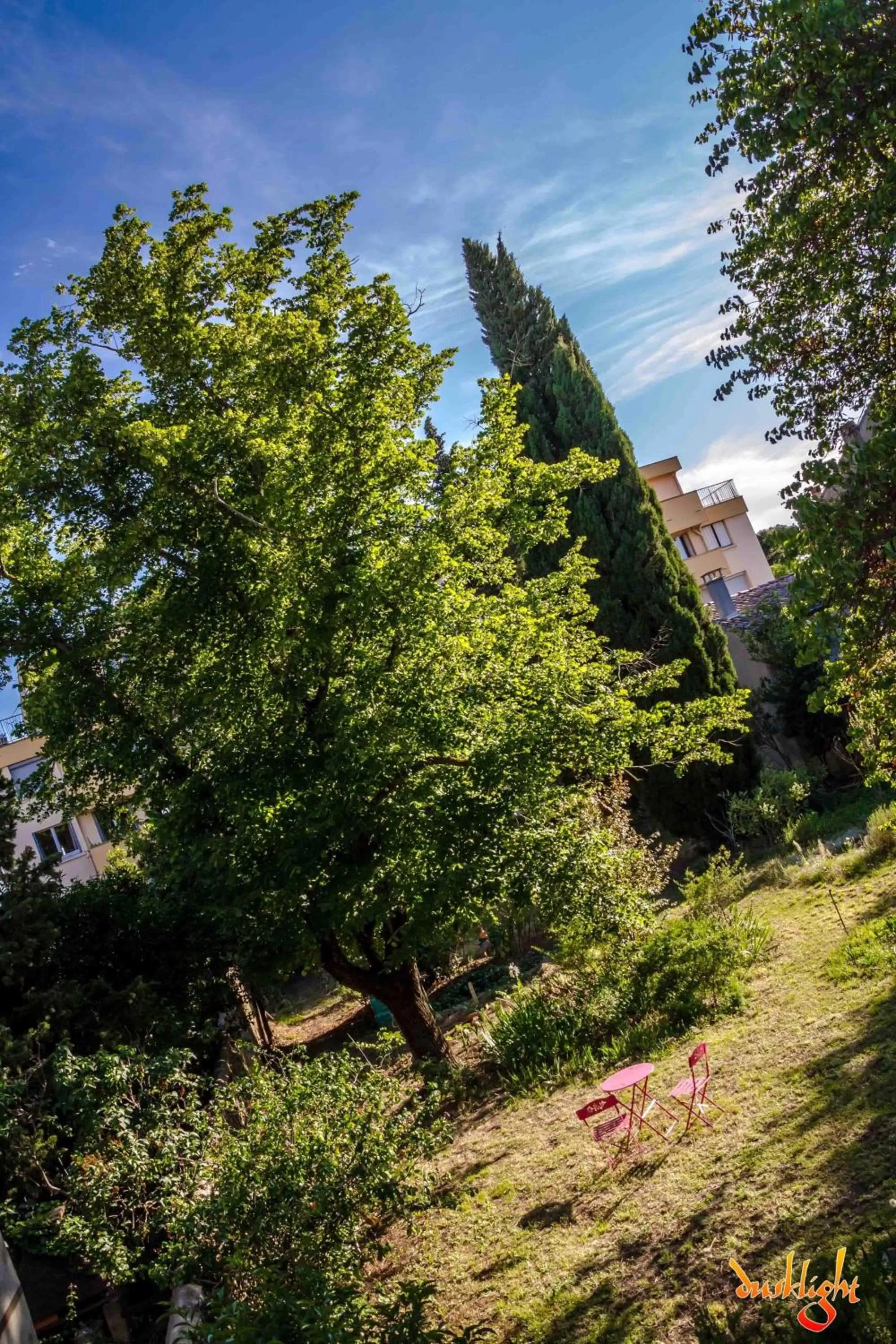 Garden view in Art Home BnB