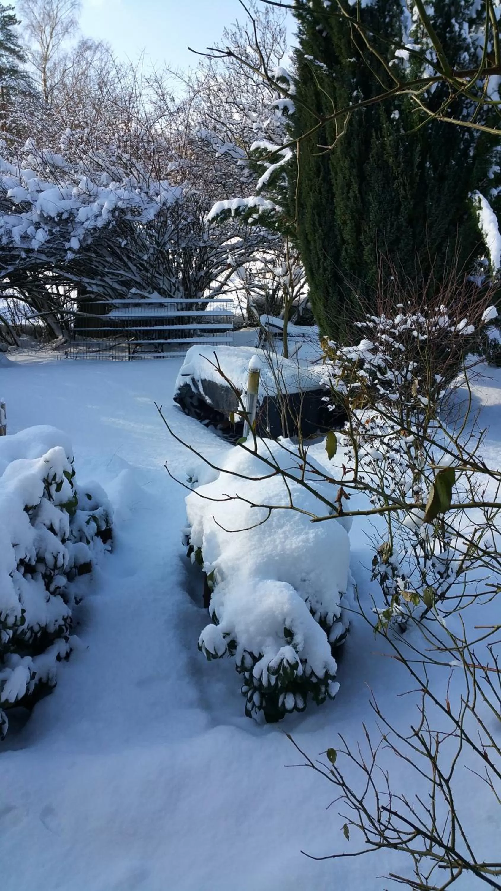 Off site in Villa Jani b&b