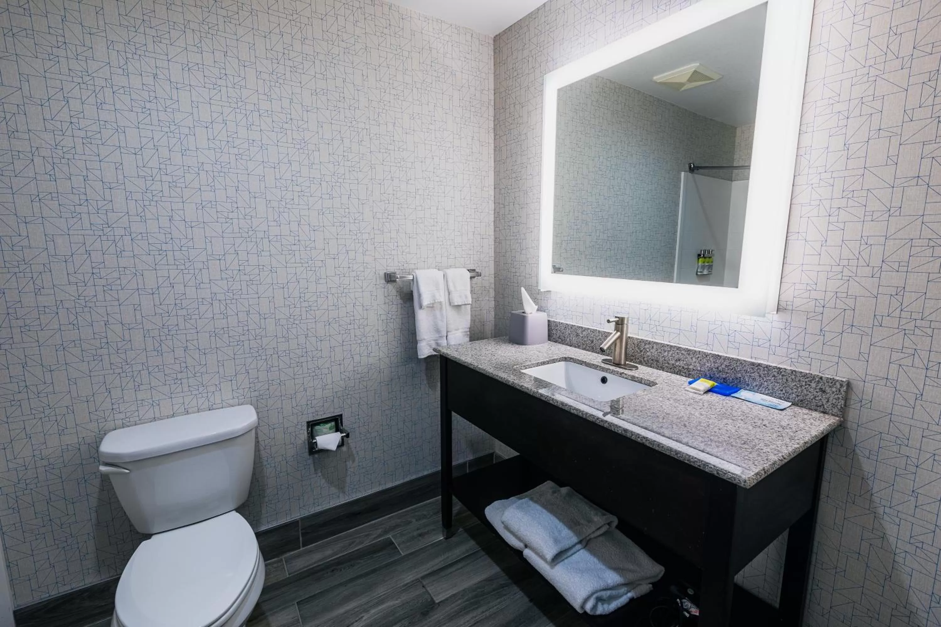 Bathroom in Holiday Inn Express Hotel & Suites Hamburg by IHG
