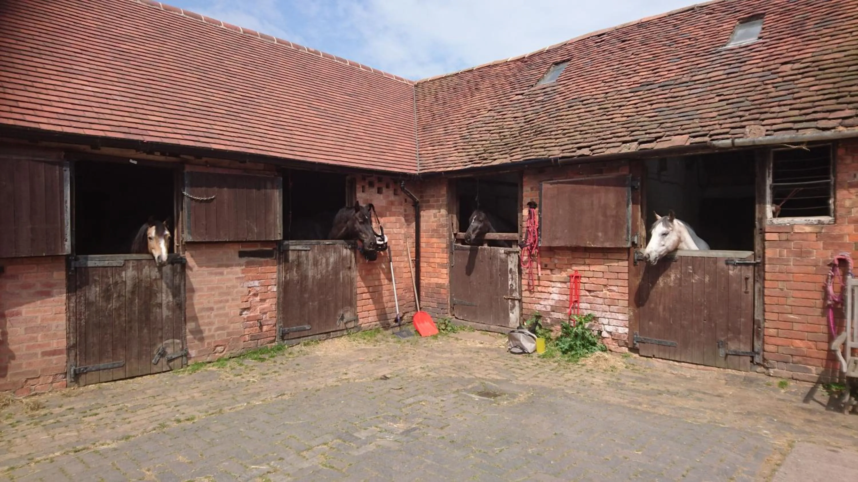 Pets in Church Farm Accommodation