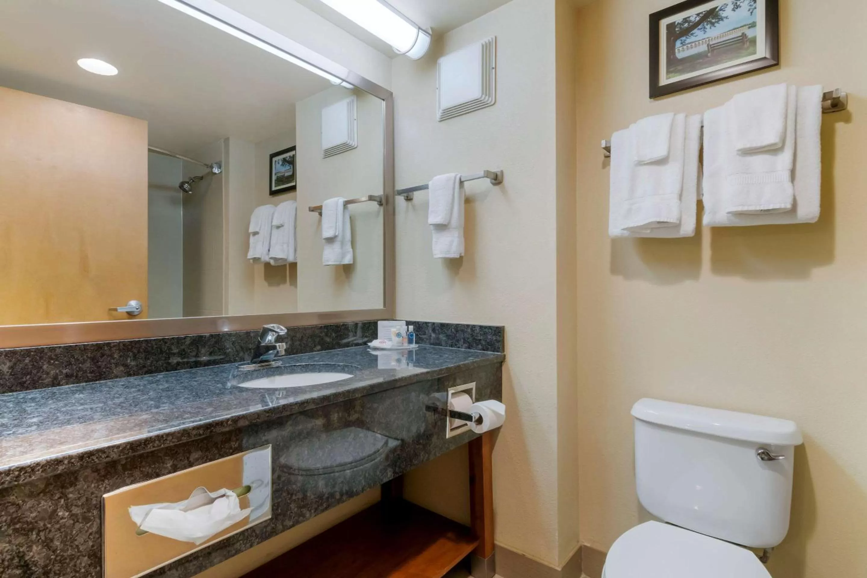 Bathroom in Comfort Inn Mechanicsburg - Harrisburg South