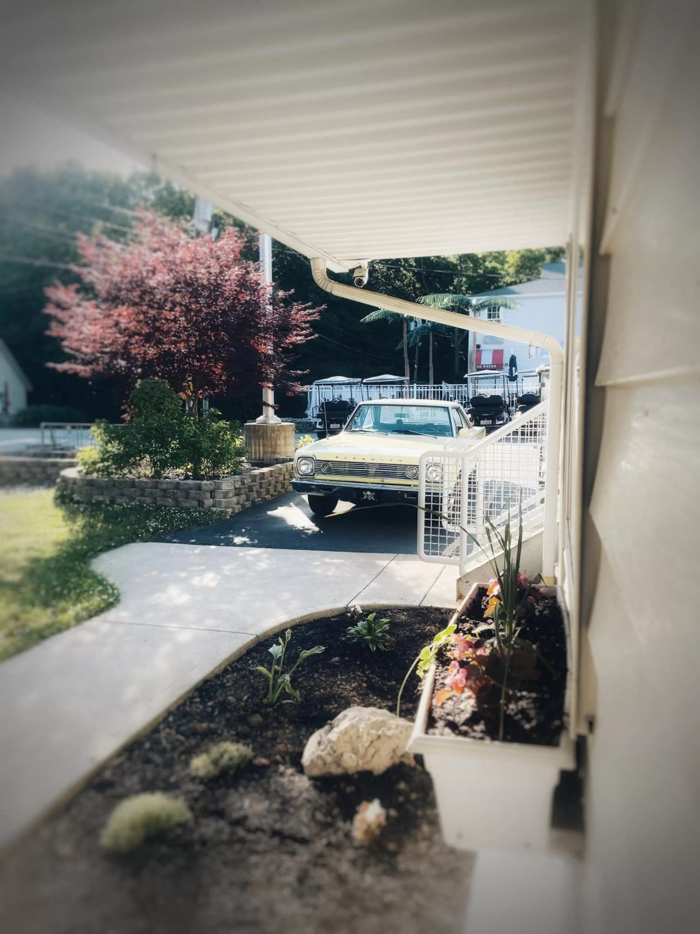 Natural landscape in Bay Lodging Resort