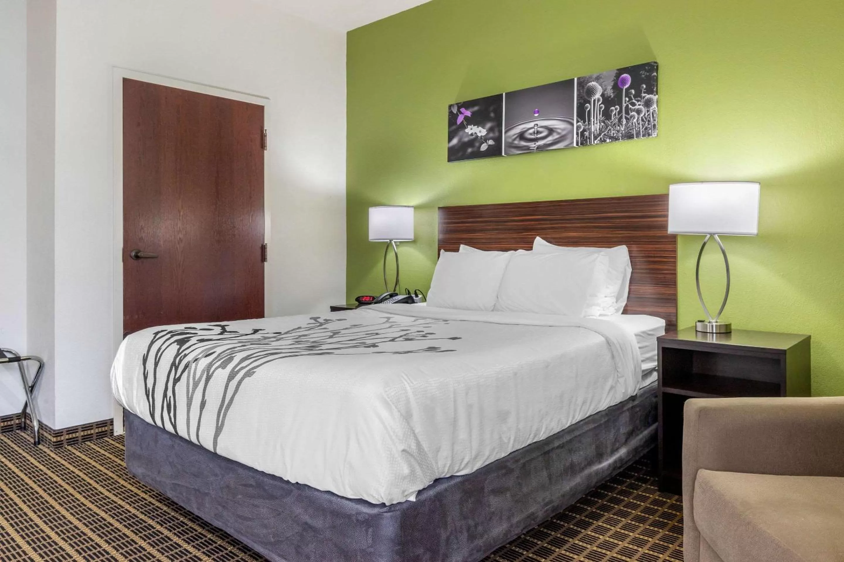 Photo of the whole room, Bed in Sleep Inn Orangeburg