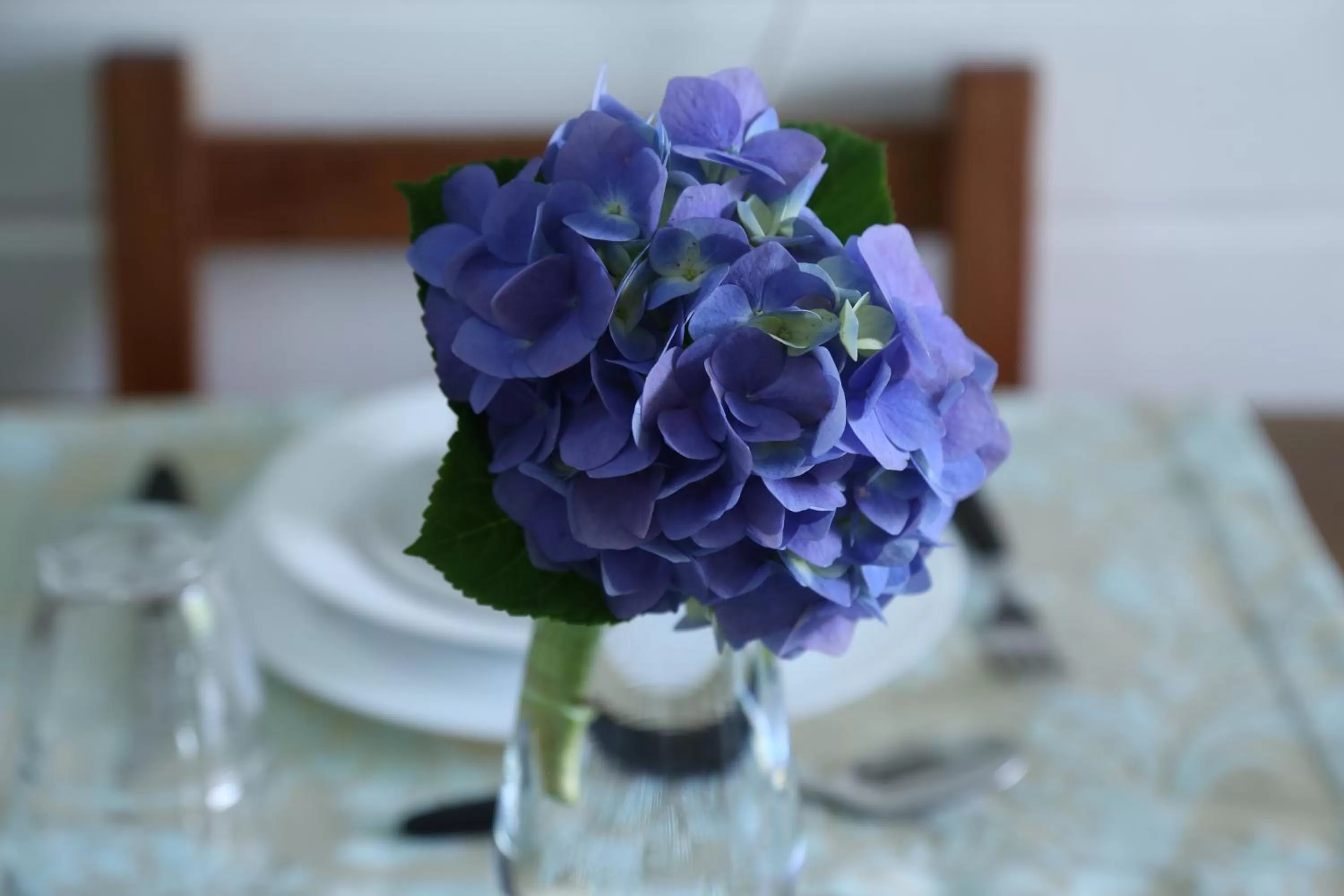 Food in Pousada Lanai Canela