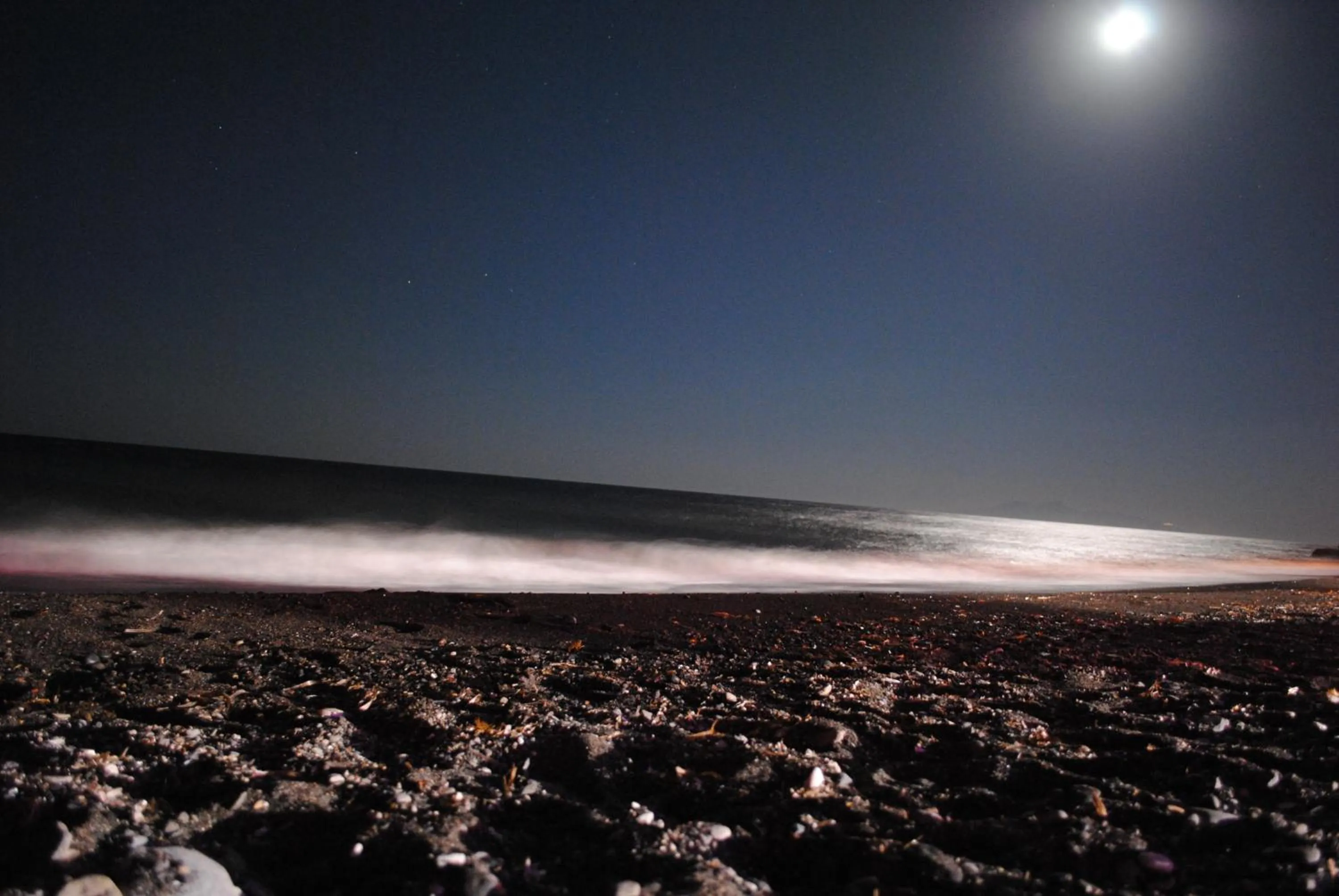 Beach in Porto Castello