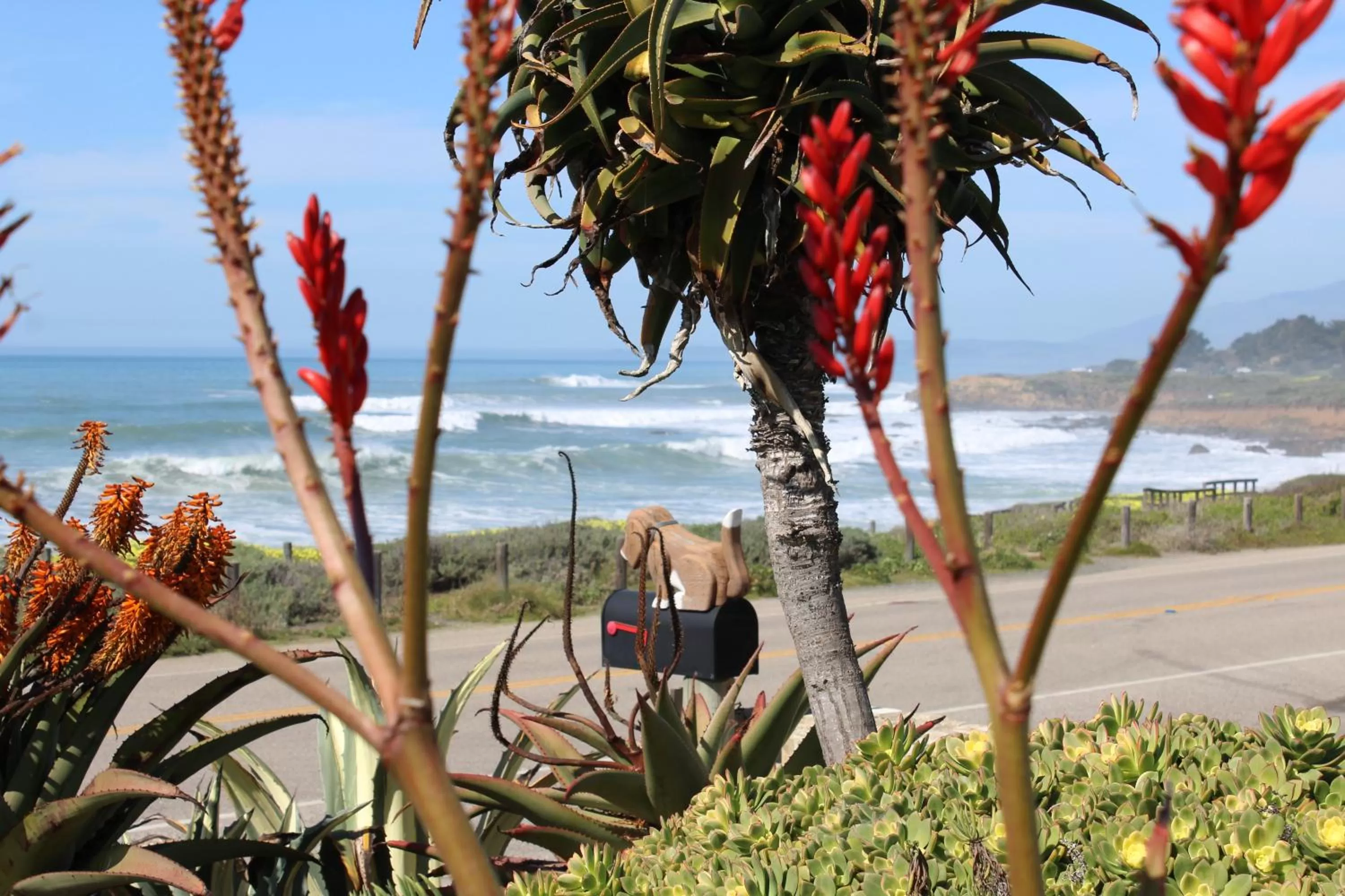Garden view in Cambria Shores Inn