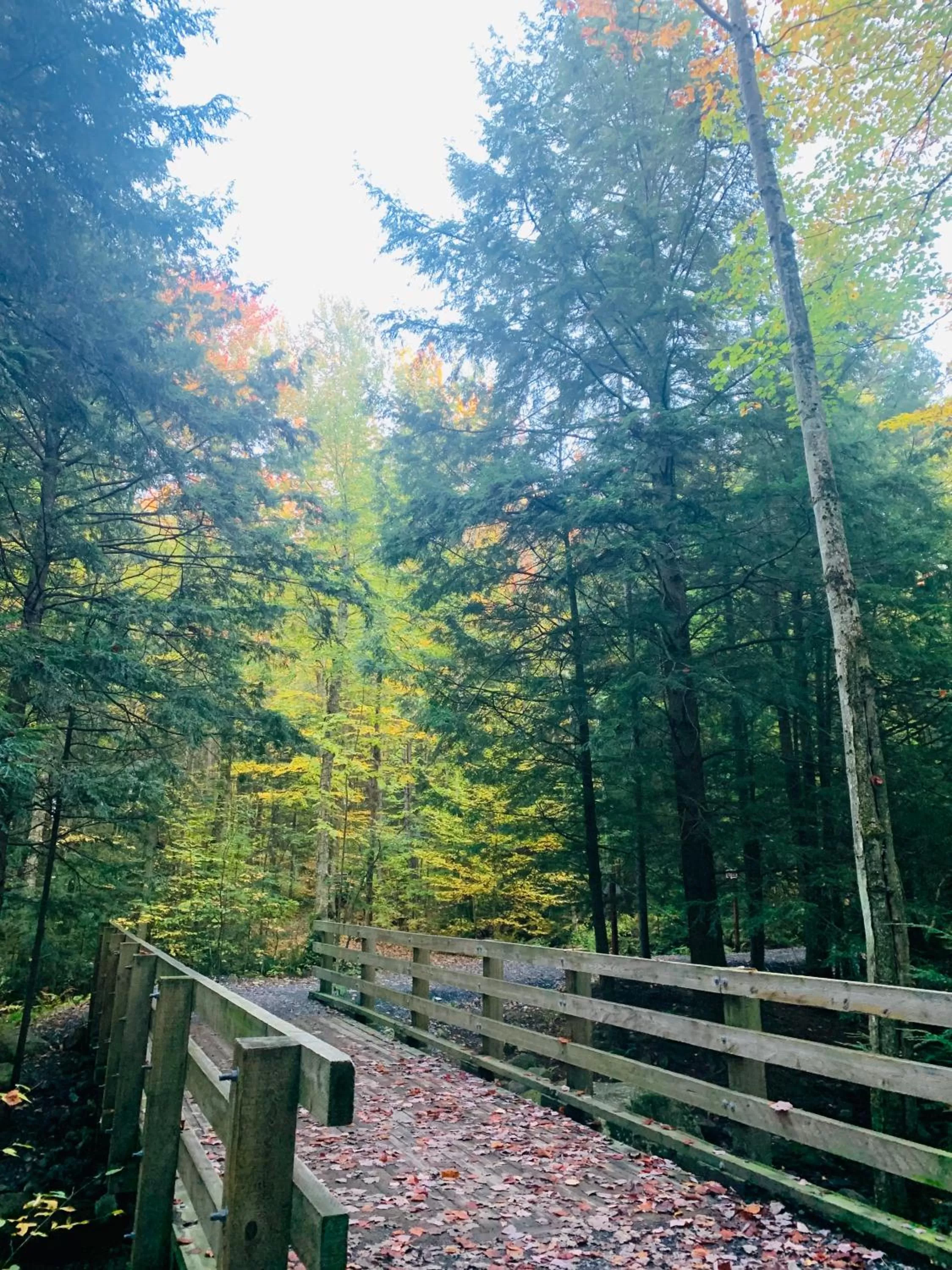 Hiking in Au Gré Du Temps - Gîte B&B