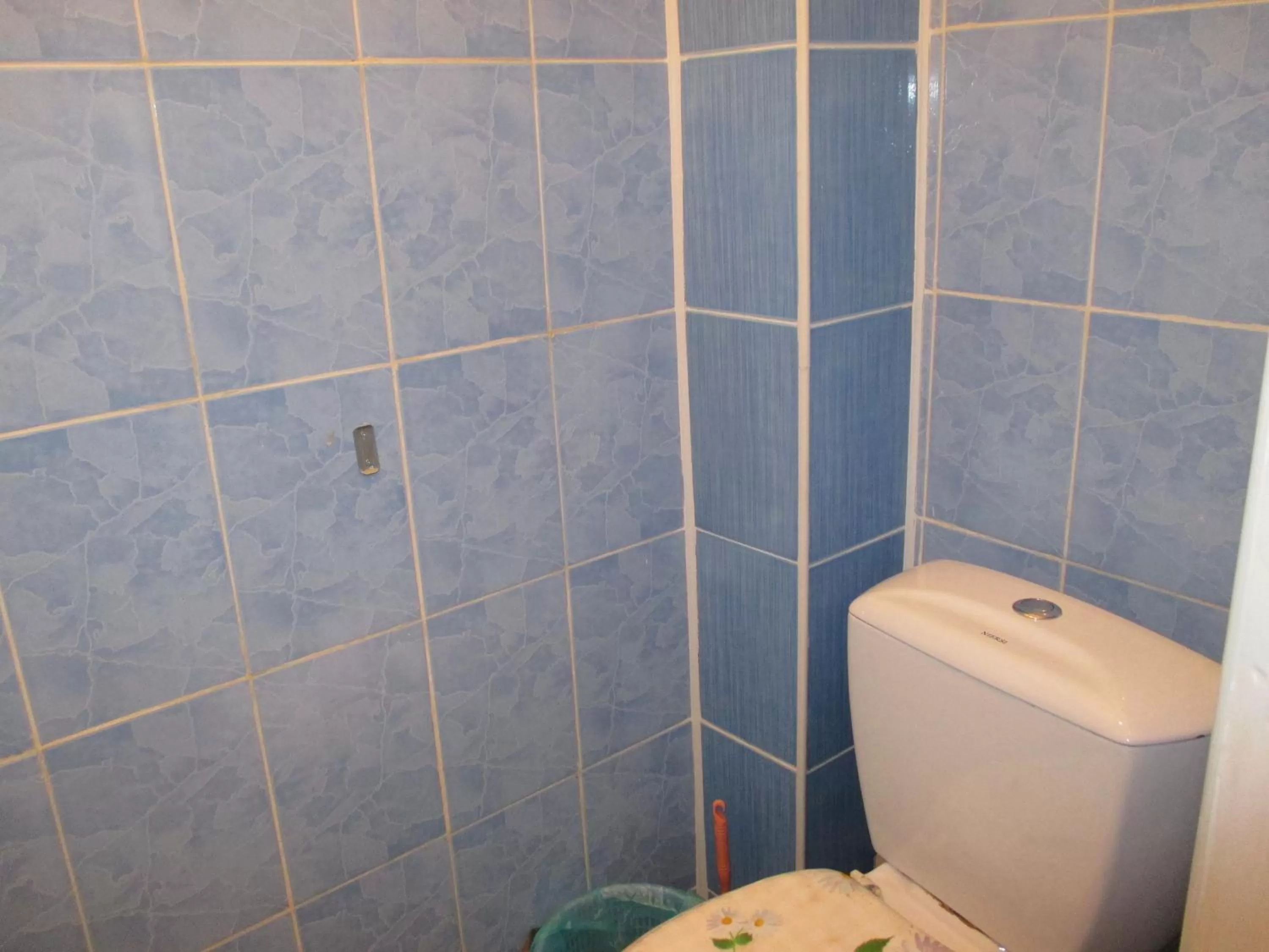 Decorative detail in Otel Issyk-Kul Karakol