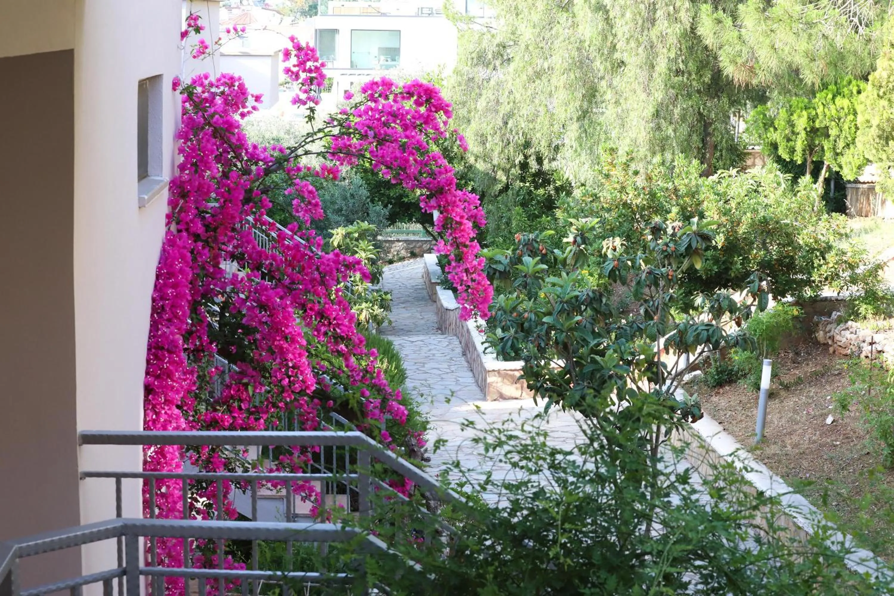 Garden in Happy Hotel Kalkan