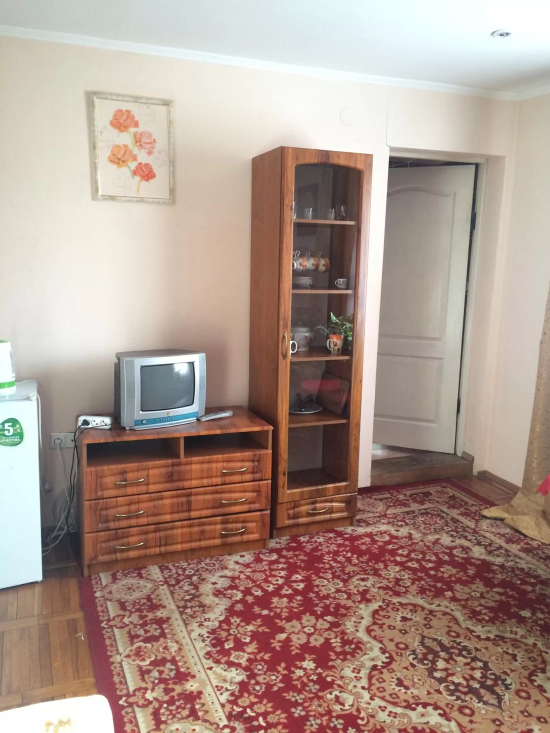 TV and multimedia in Villa Yaryna