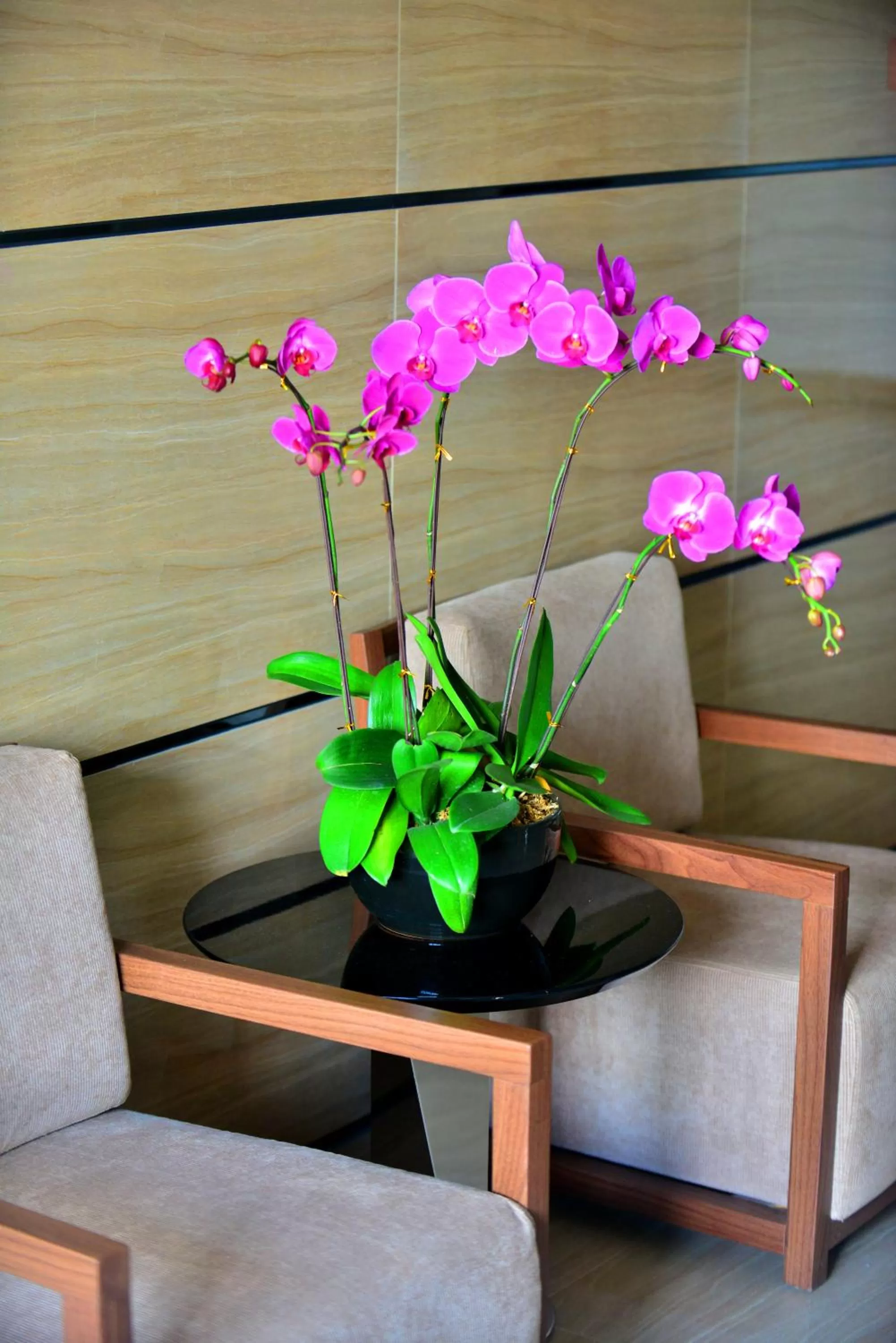 Communal lounge/ TV room in Barry Boutique Hotel Sanya