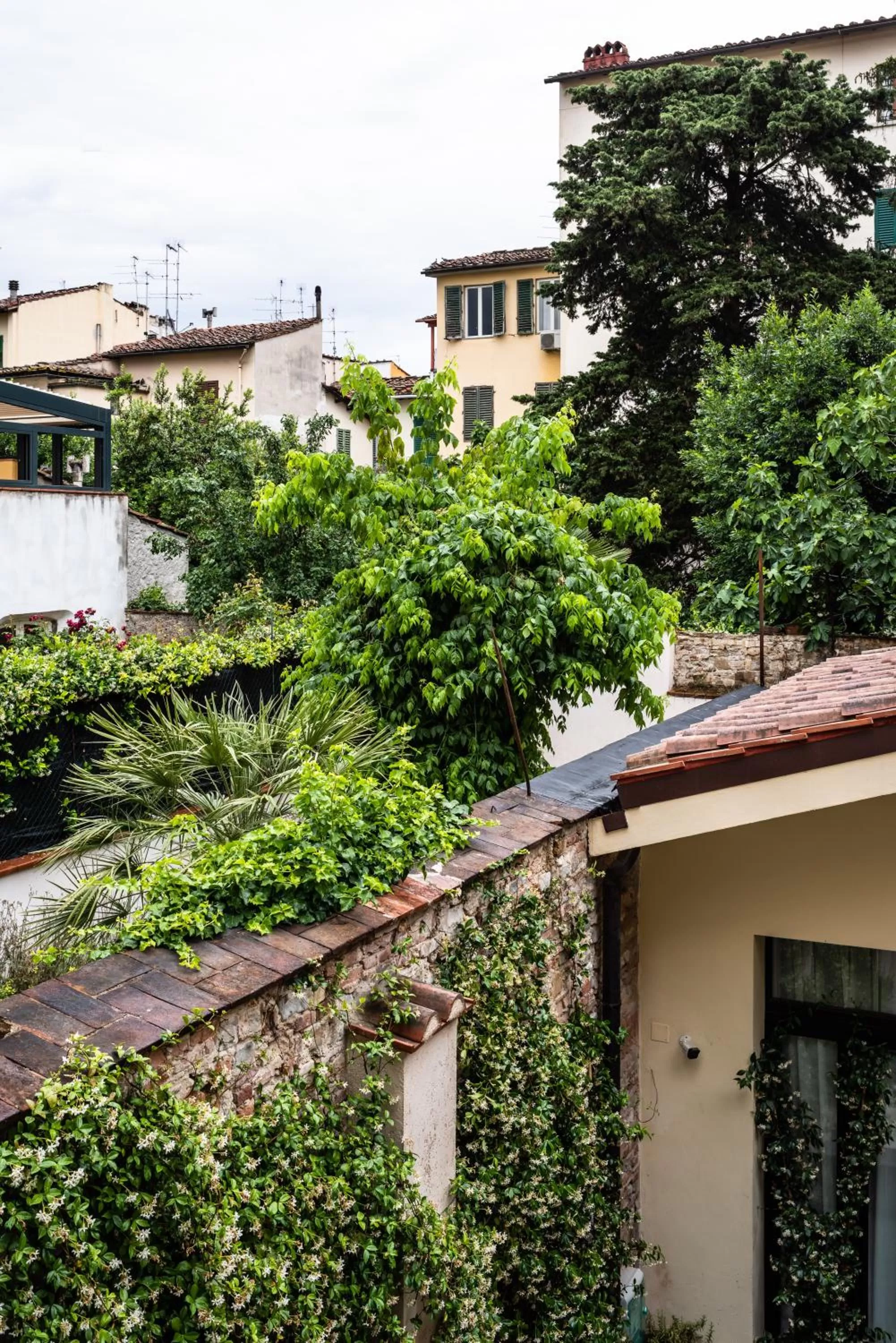 Neighbourhood in Corte Guelfa