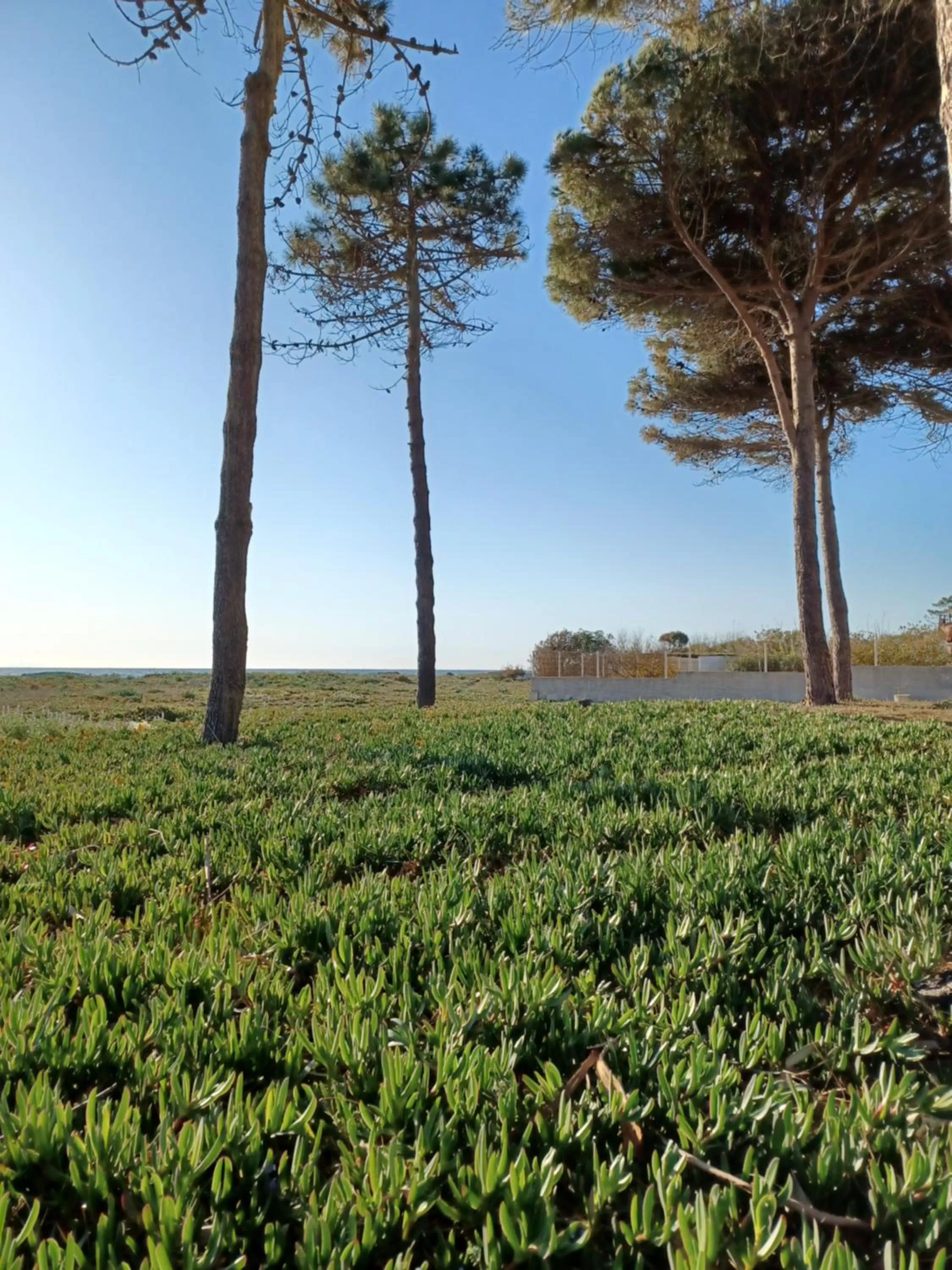 Natural Landscape in Oro Biancu